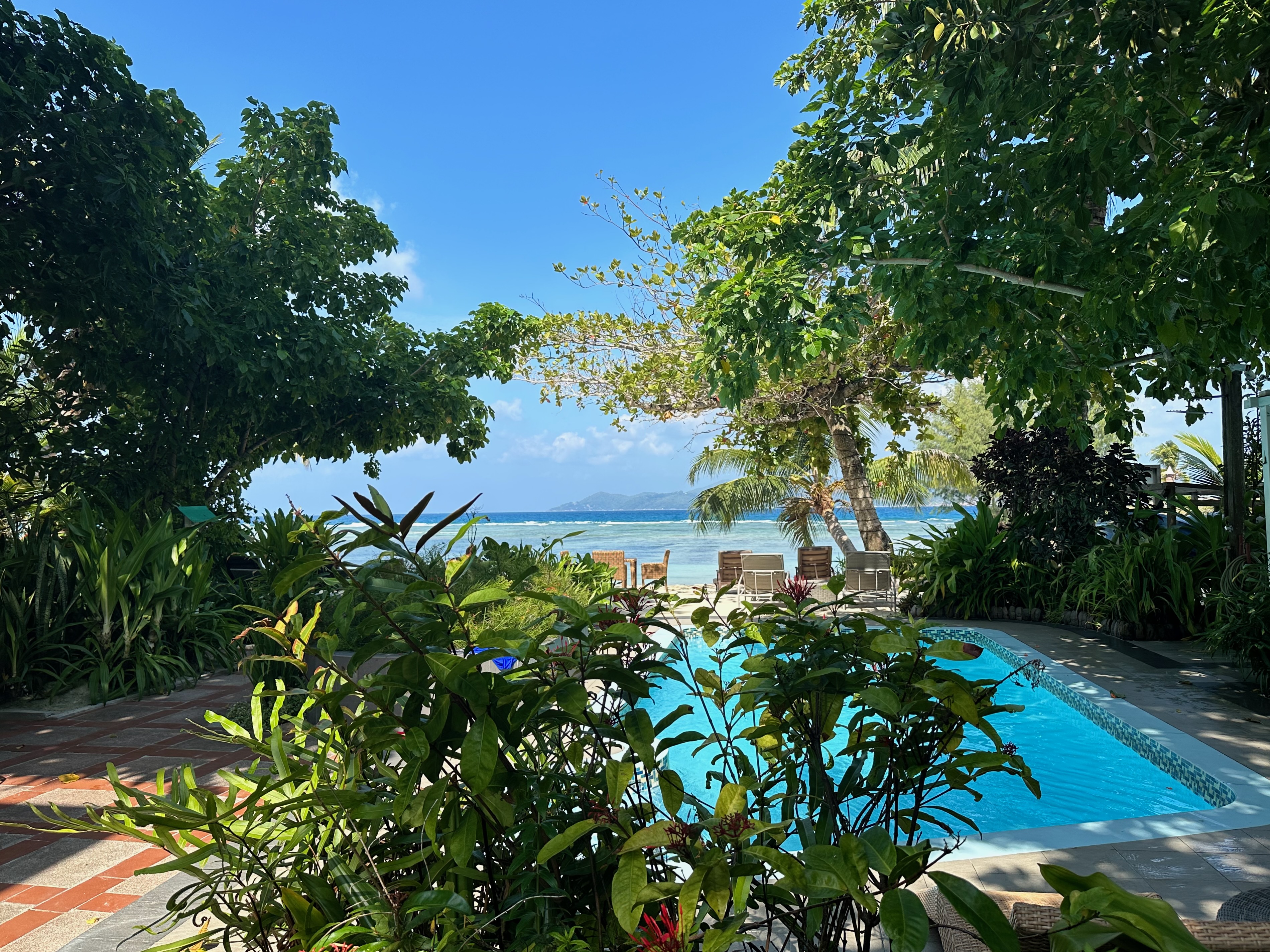 A view of a pool with foliage in the distance during the daytime.