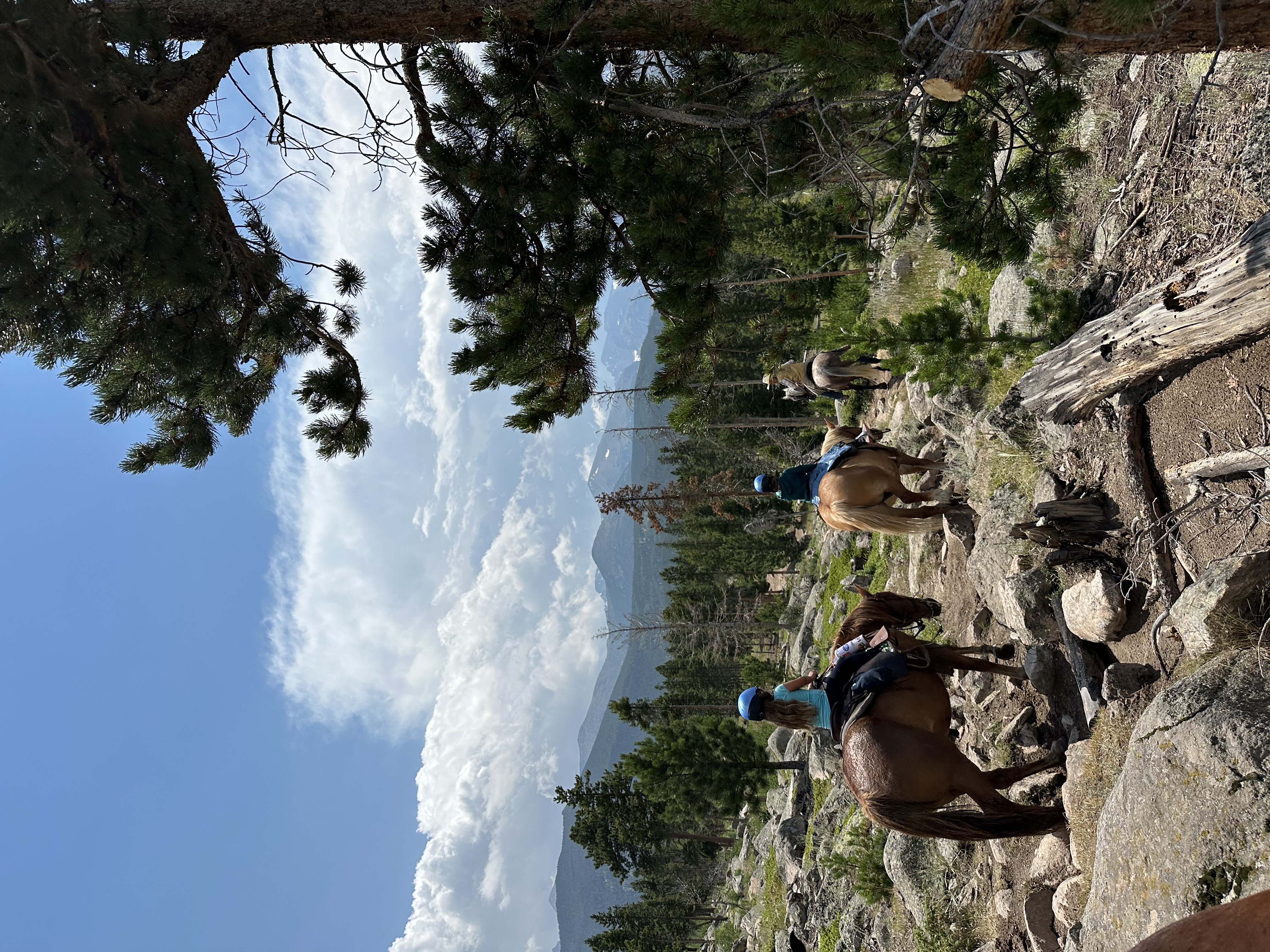 A view of people horseback riding down a rugged hill with pine trees in view and a cloudy blue sky above.