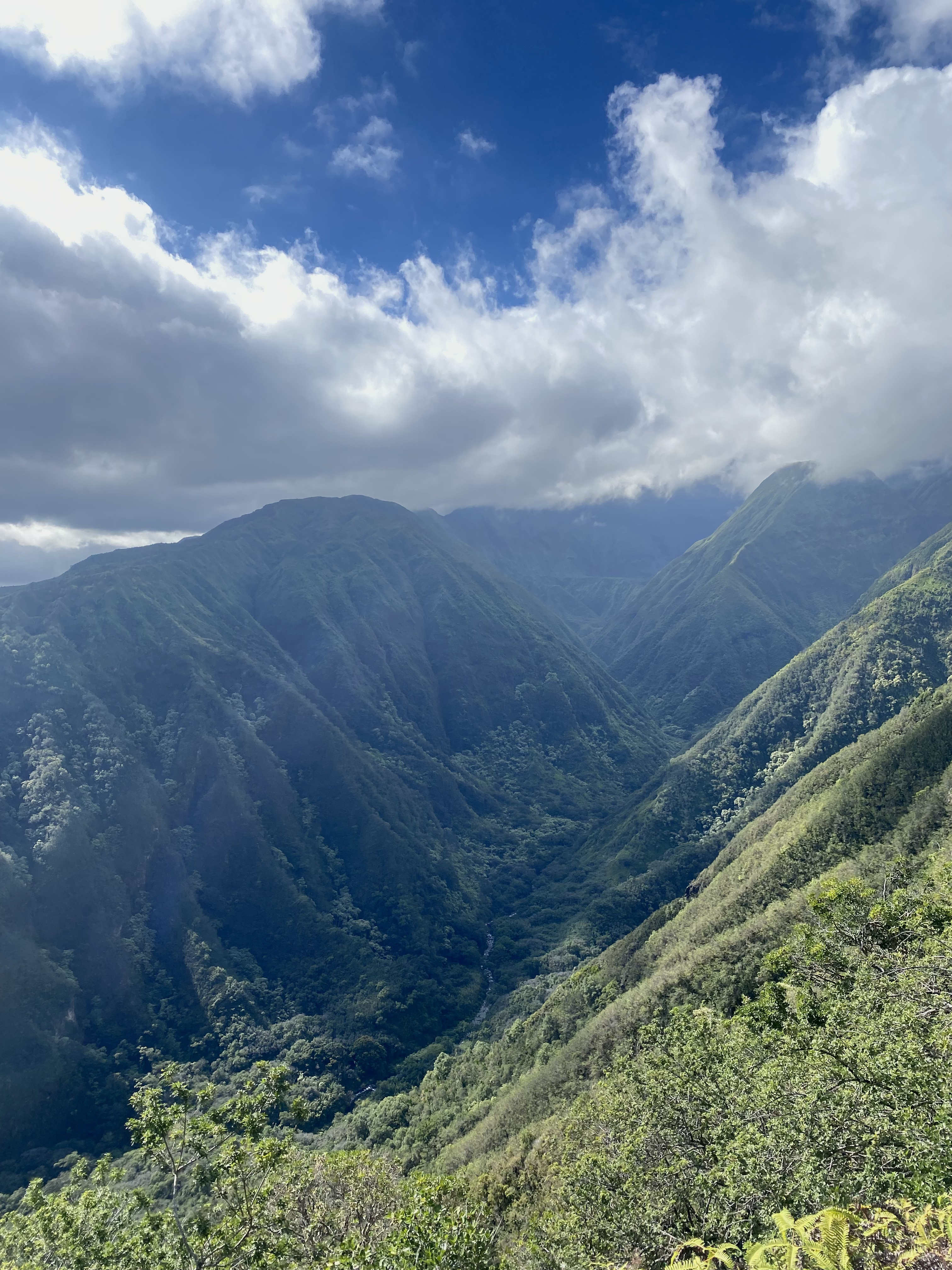 Beautiful view of a green valley on a sunny day