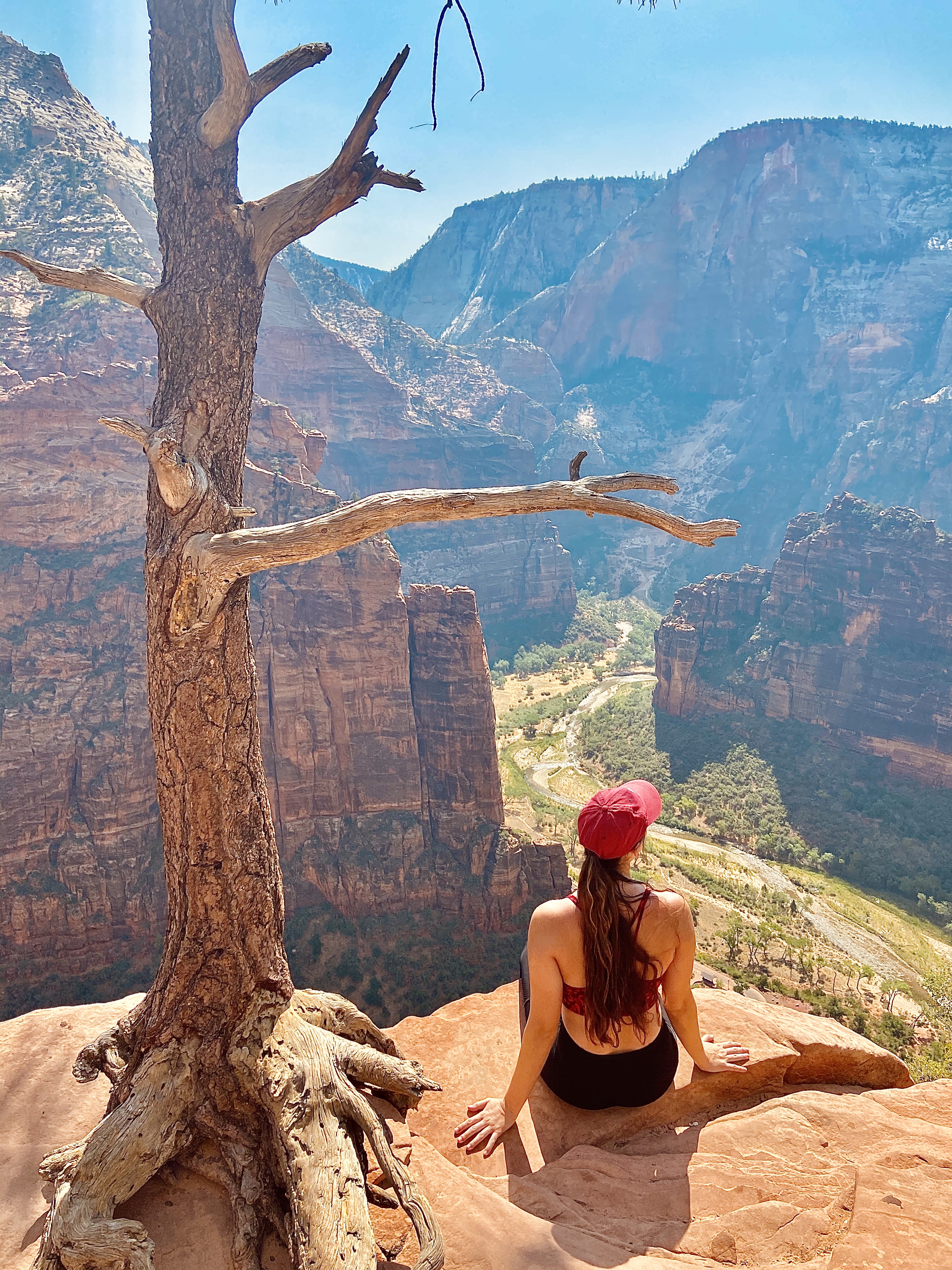 A view of a person sitting at the edge of a cliff with a tree above her as she looks out to desert-like terrain surrounded by canyons.