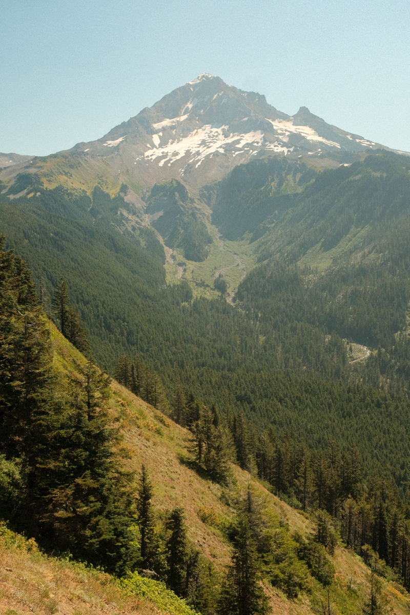 View of a beautiful mountain with trees and snow at the top on a sunny day