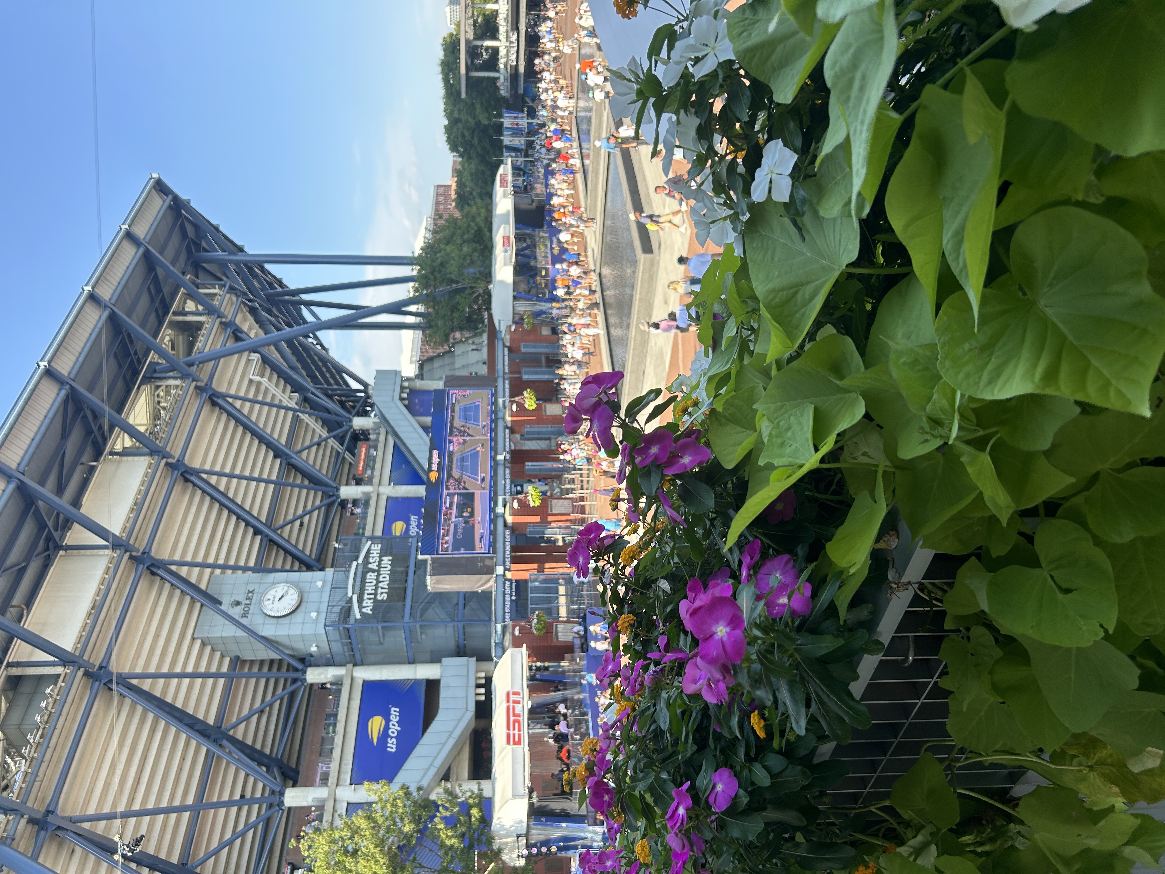 View of purple flowers outside of a stadium on a clear day