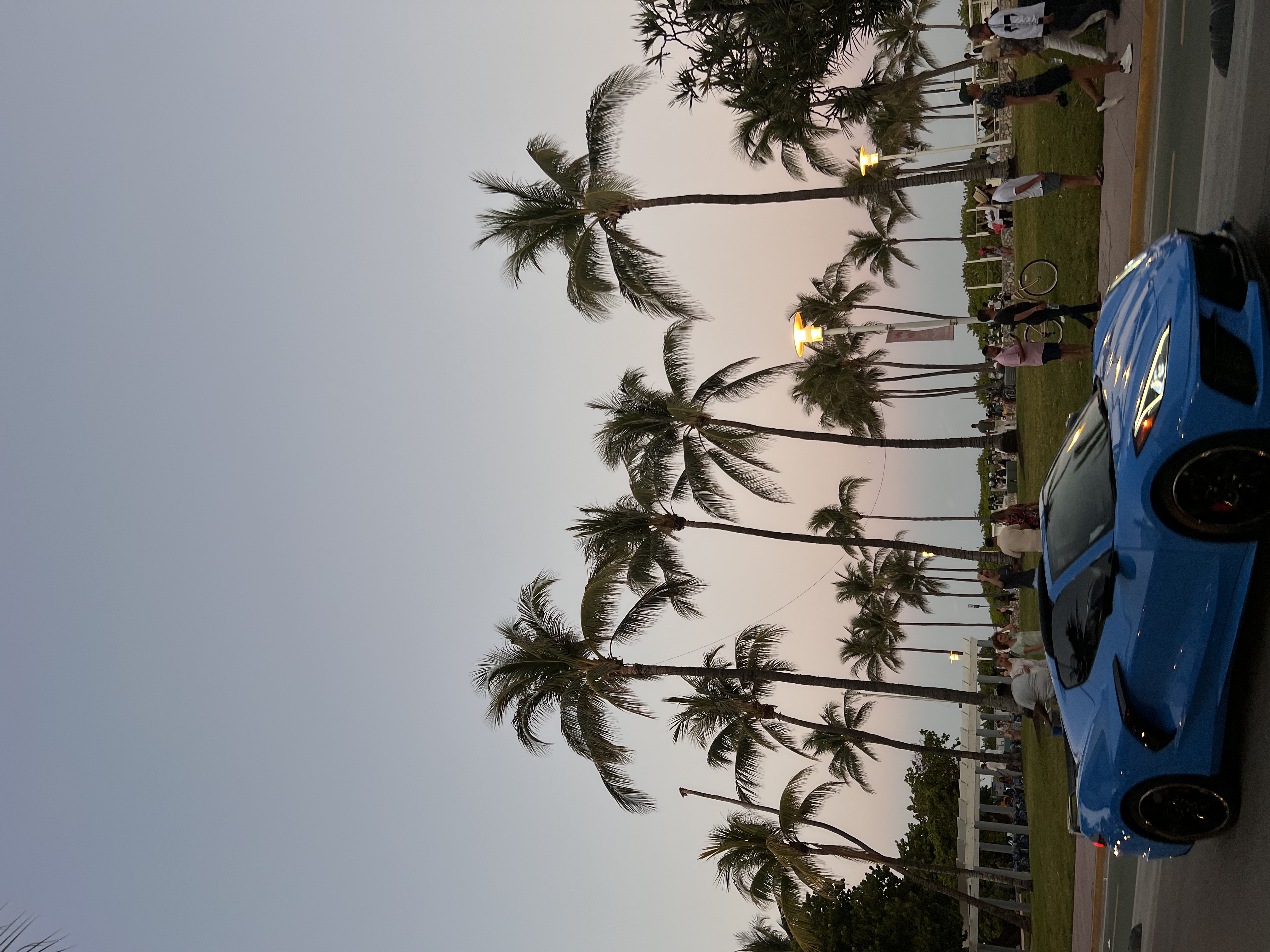View of a blue sports car with palm trees in the background at sunset