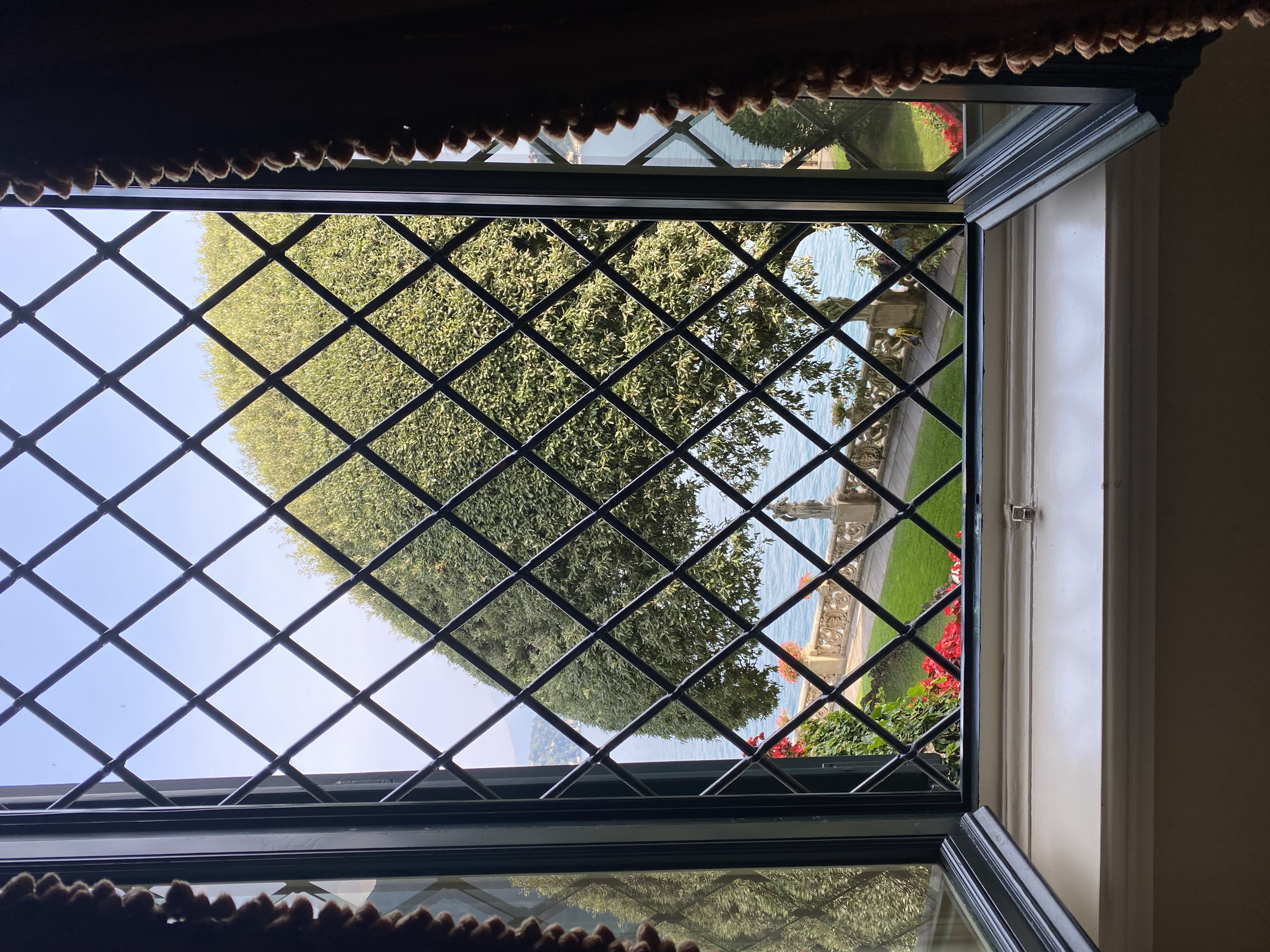View of a tree and the seaside seen through an open window on a sunny afternoon