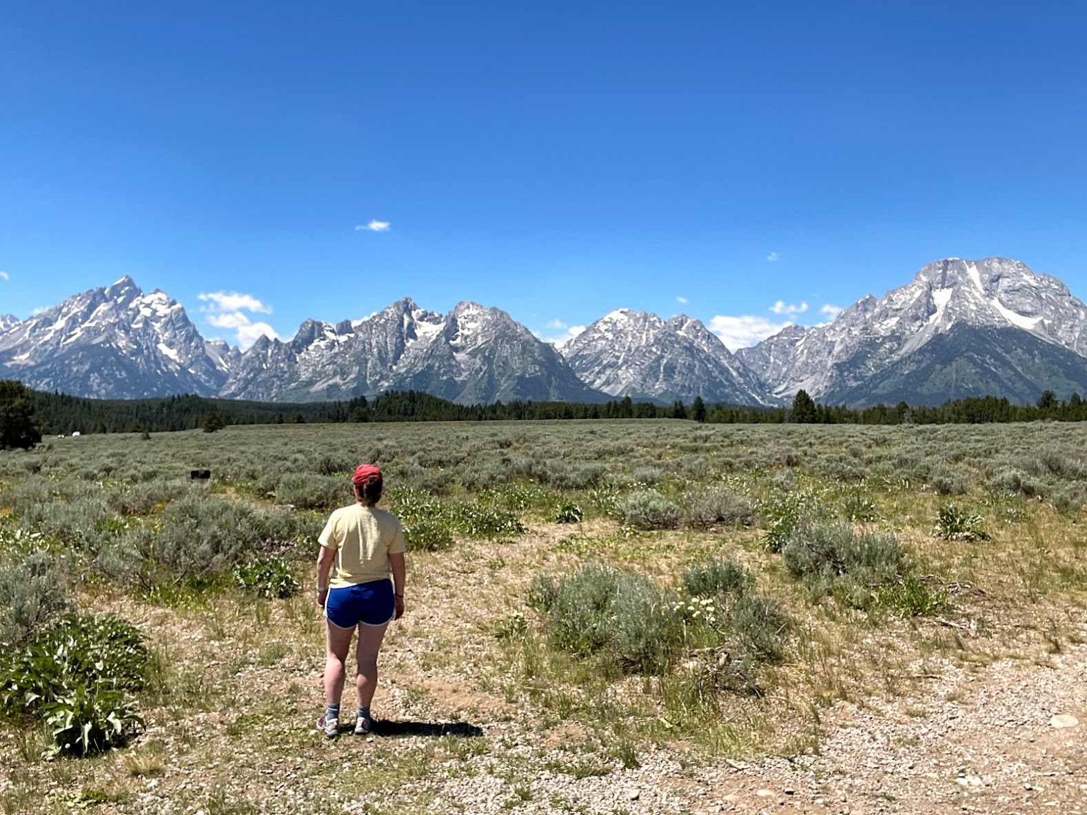 Advisor - Emily Stafford