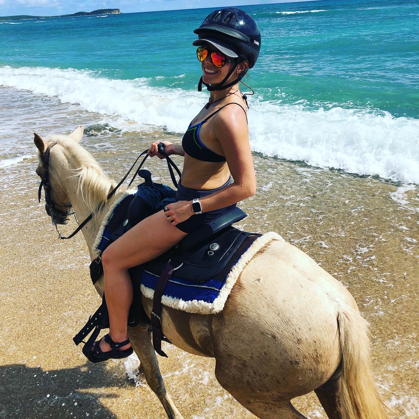 Travel Advisor - MeShell Wolf