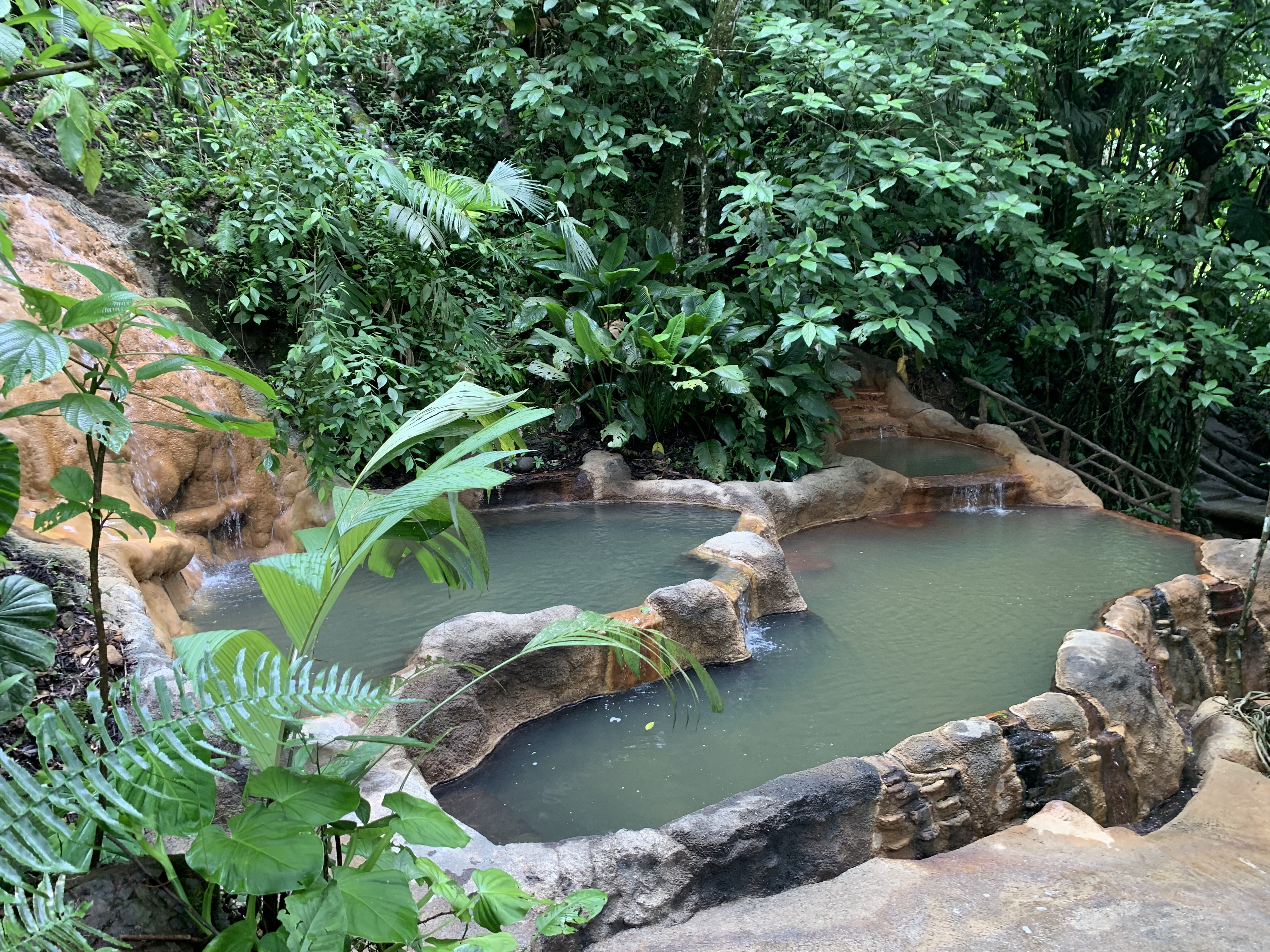 A view of a hiking path with jungle foliage in the distance during the day time.