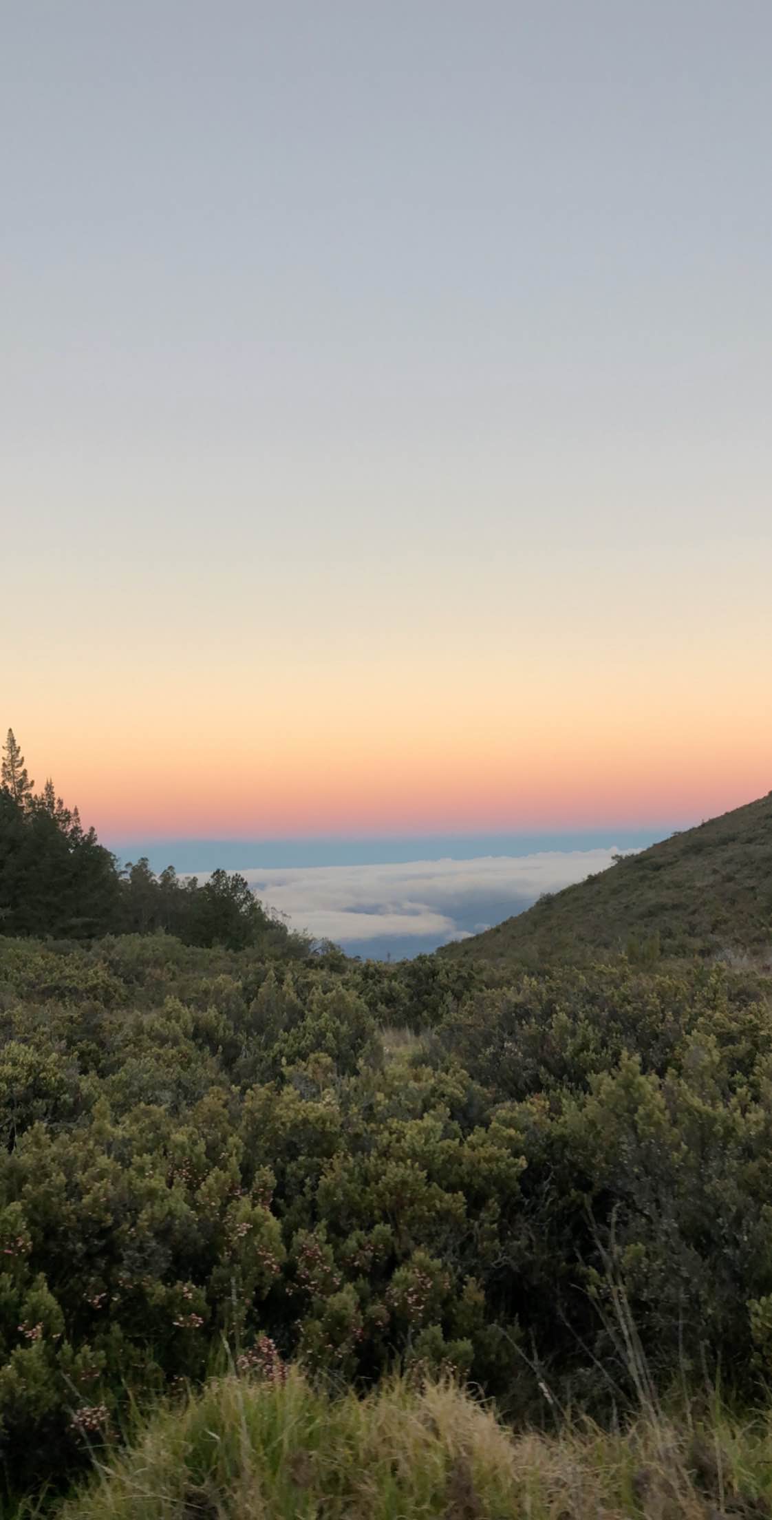 View of sunrise over the clouds as seen from high in the mountains