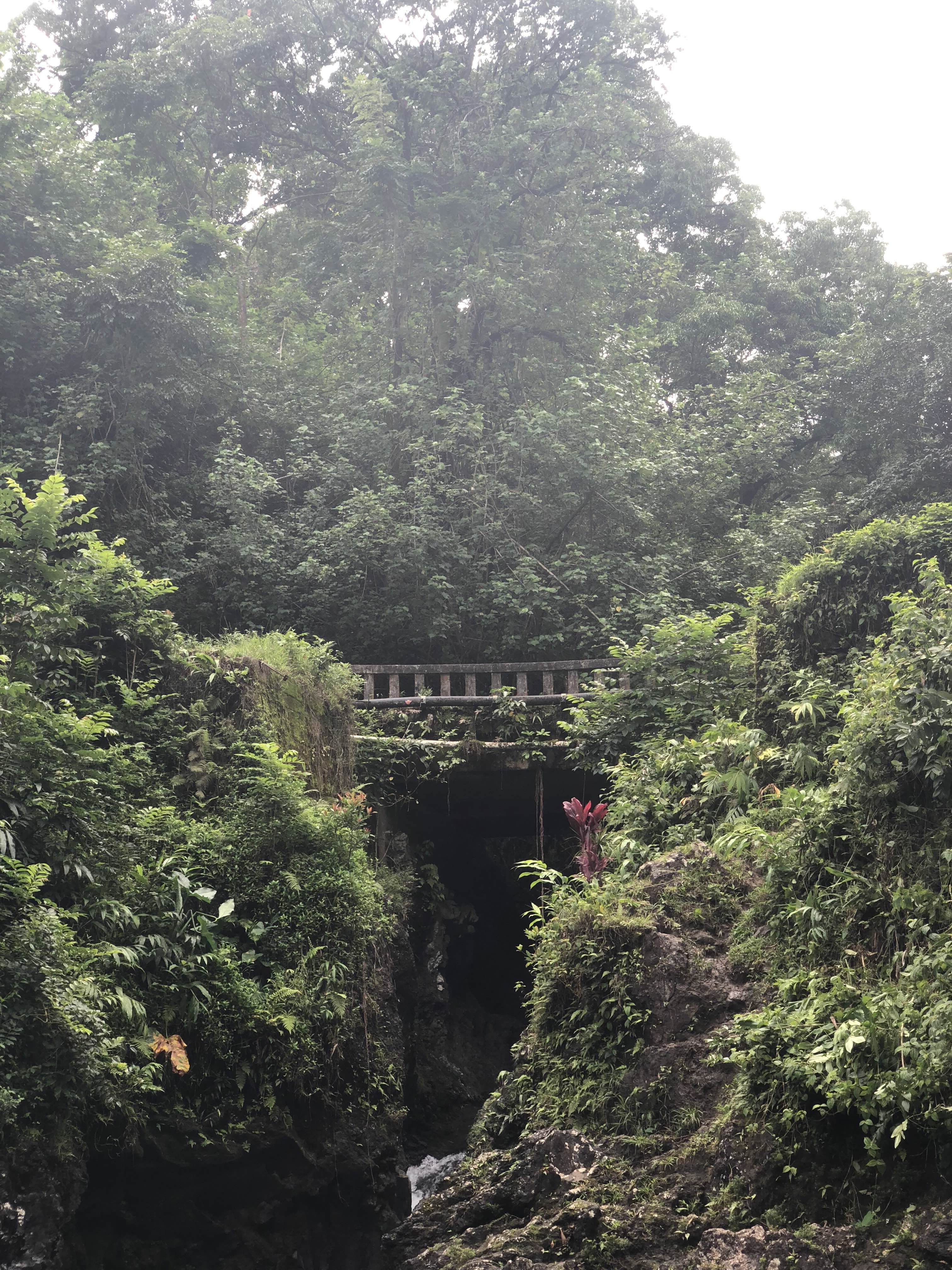 View of a small suspension bridge over a river in the jungle on a cloudy day