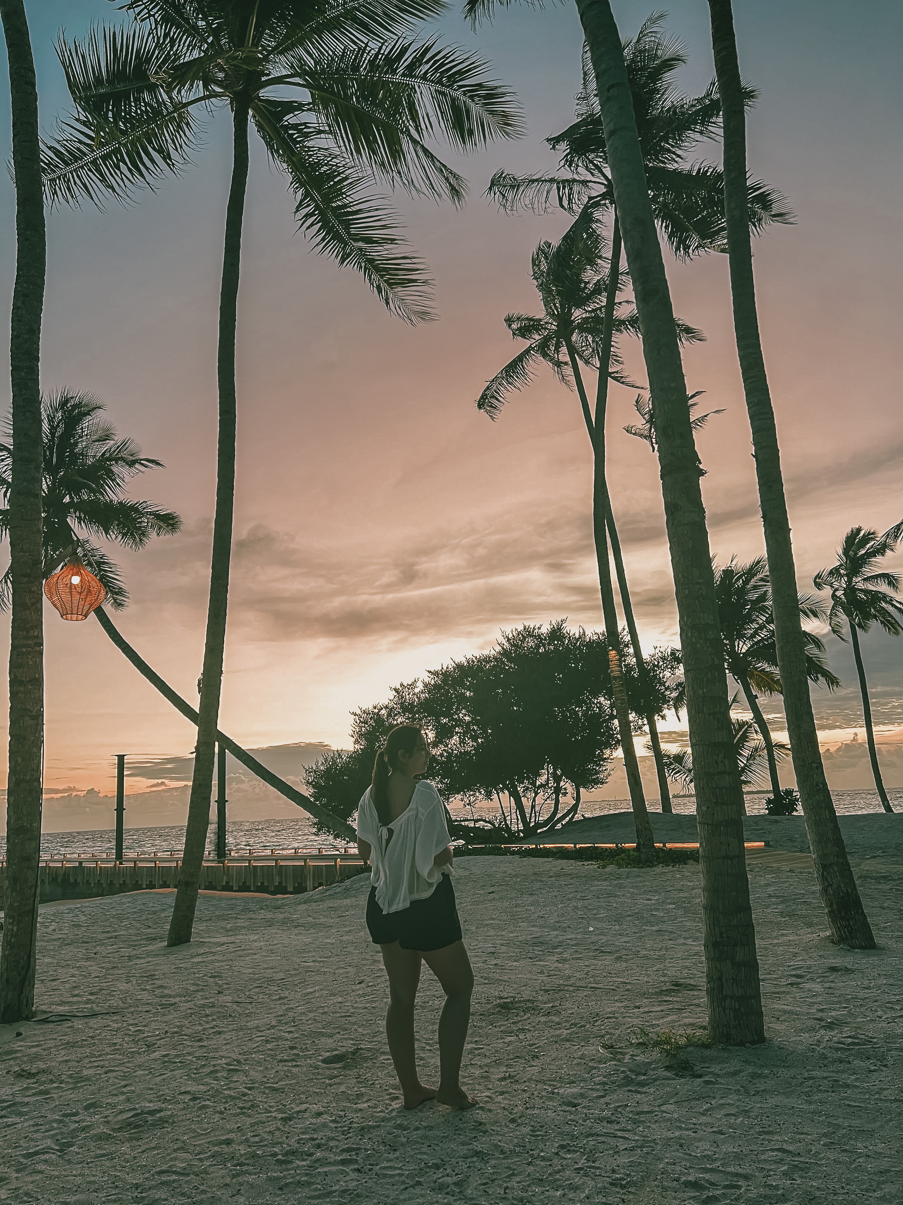 Advisor standing amidst tall palm trees on the beach at sunset