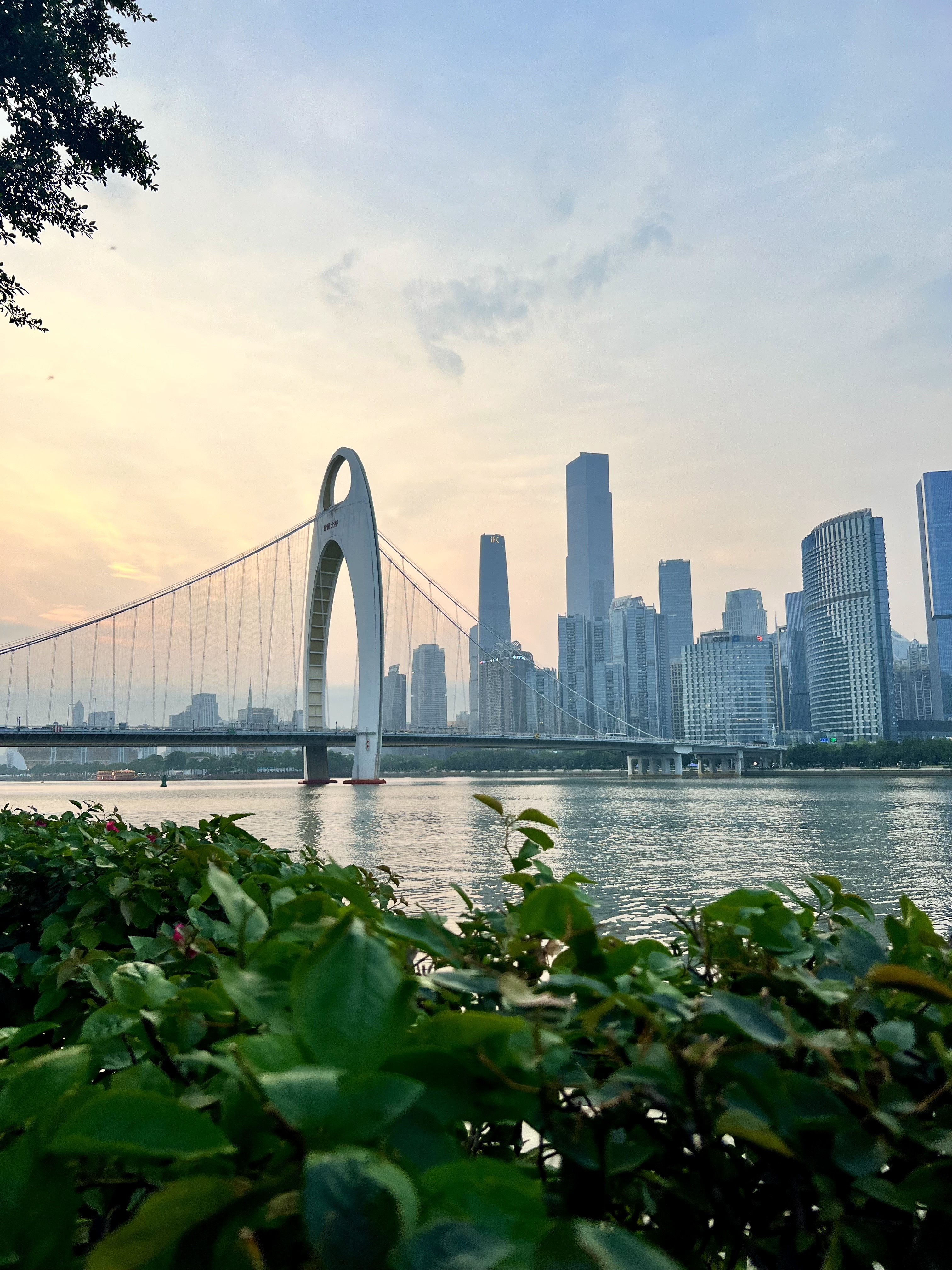 A view of a city skyline with a large bridge going over a body of water and lush foliage in the forefront of the image.