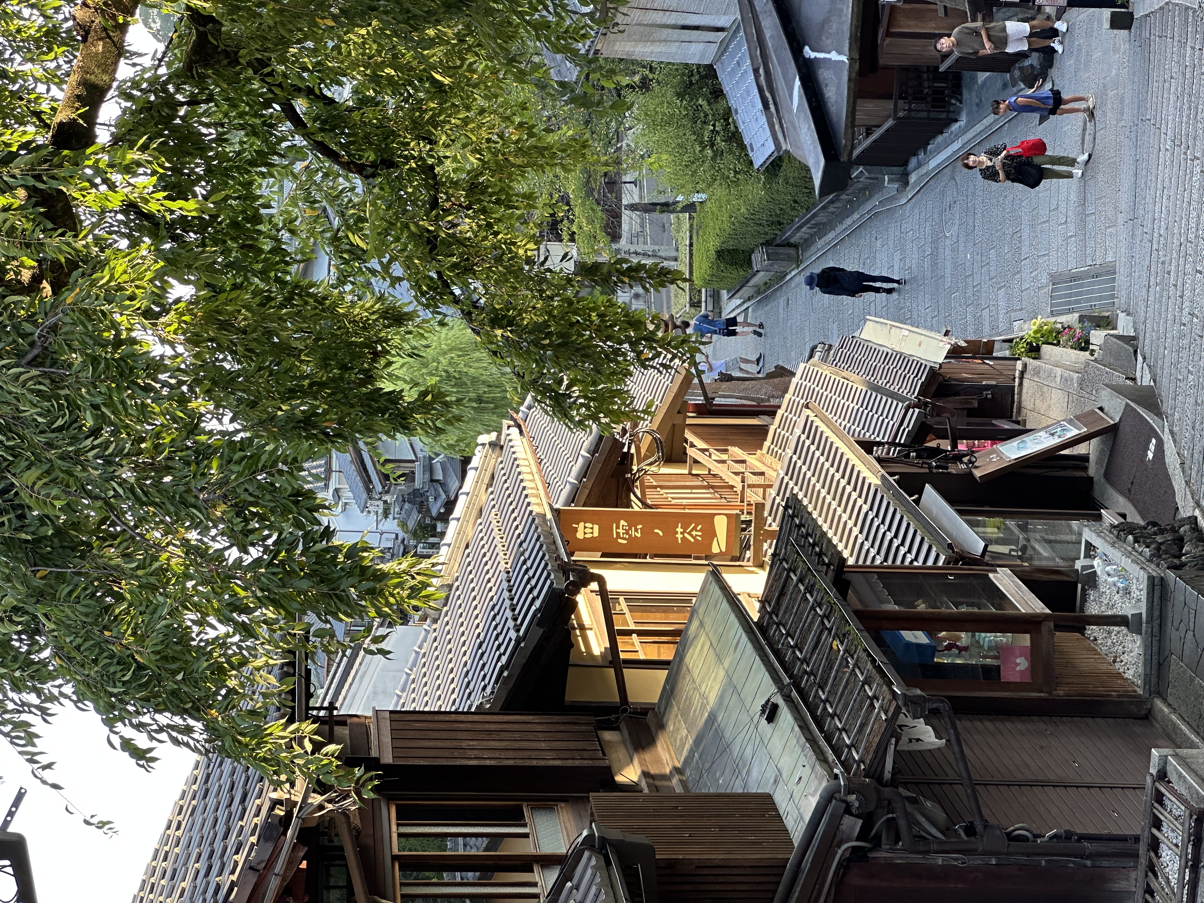 View of a hillside road in Japan with tree branches overhead and pedestrians walking below