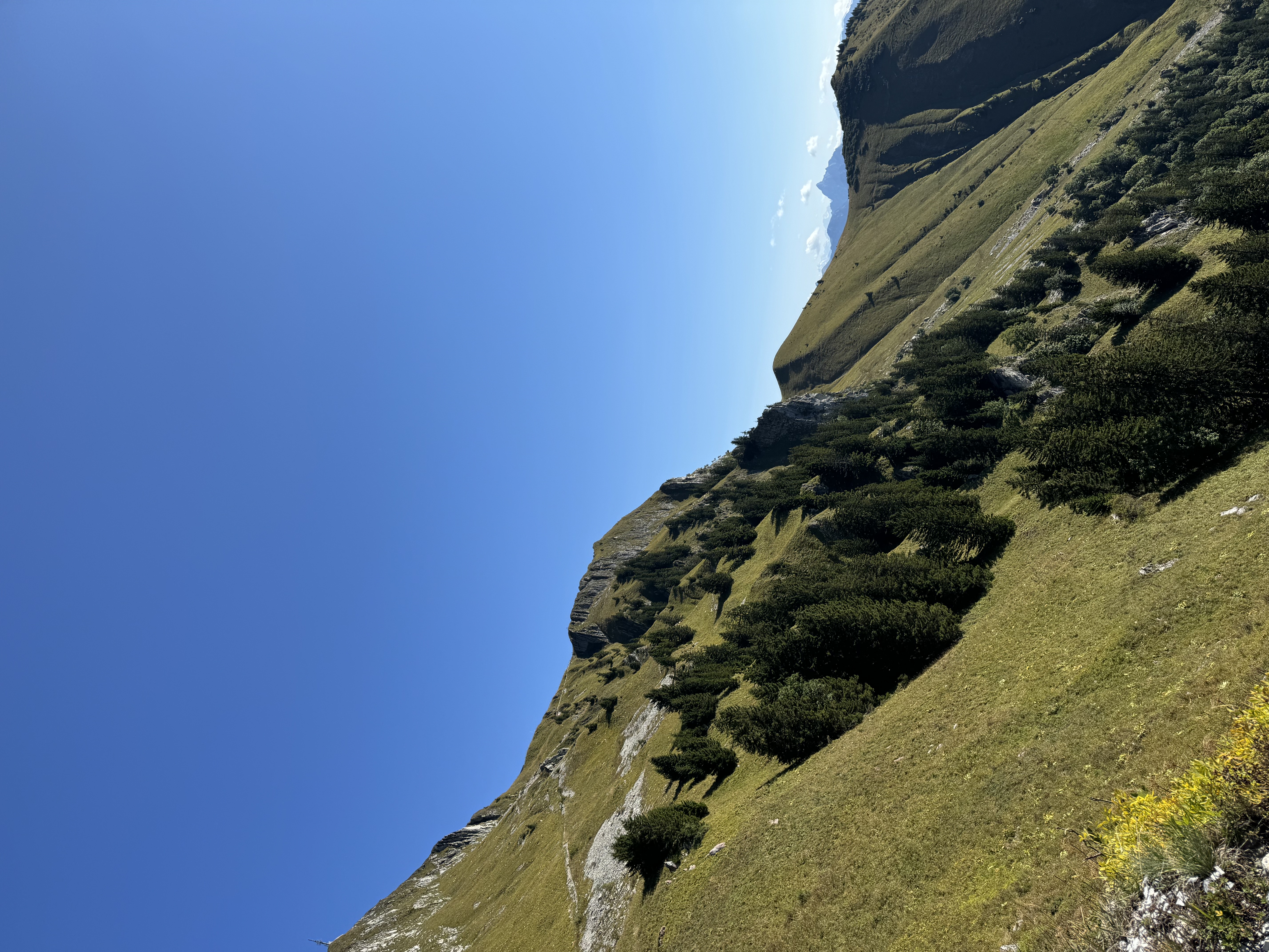 View of a green mountainside on a clear day
