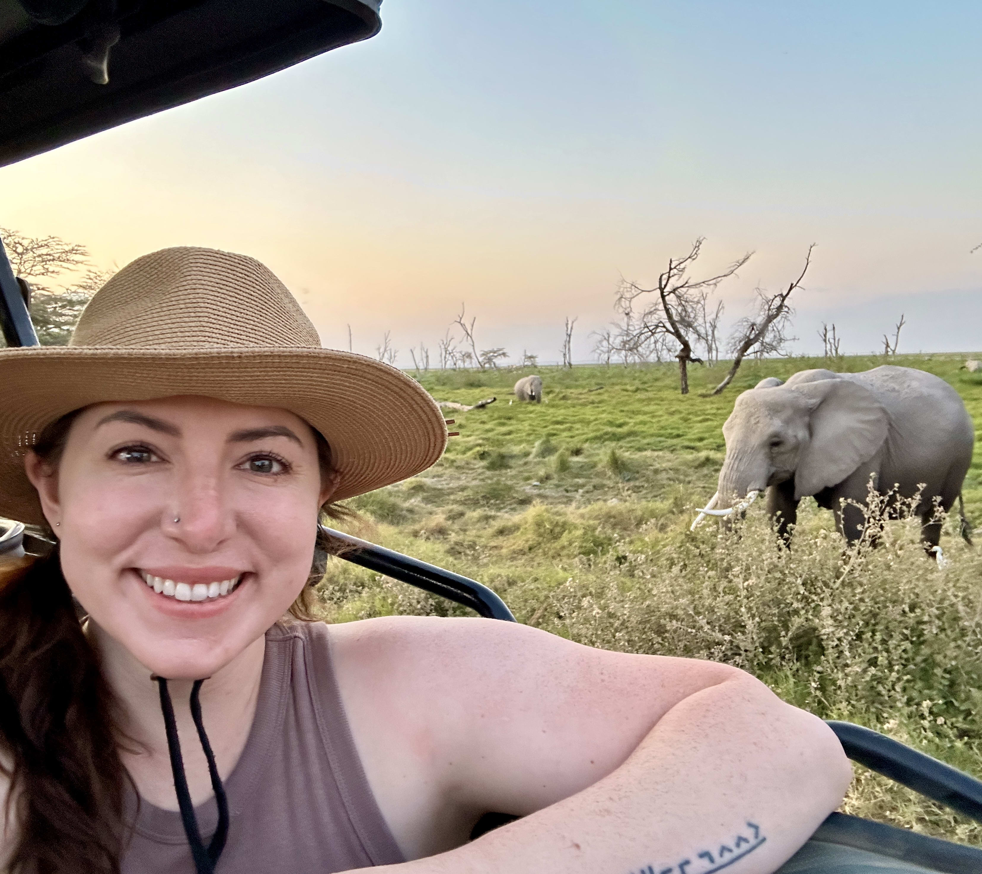 Travel Advisor - Haylee Clay