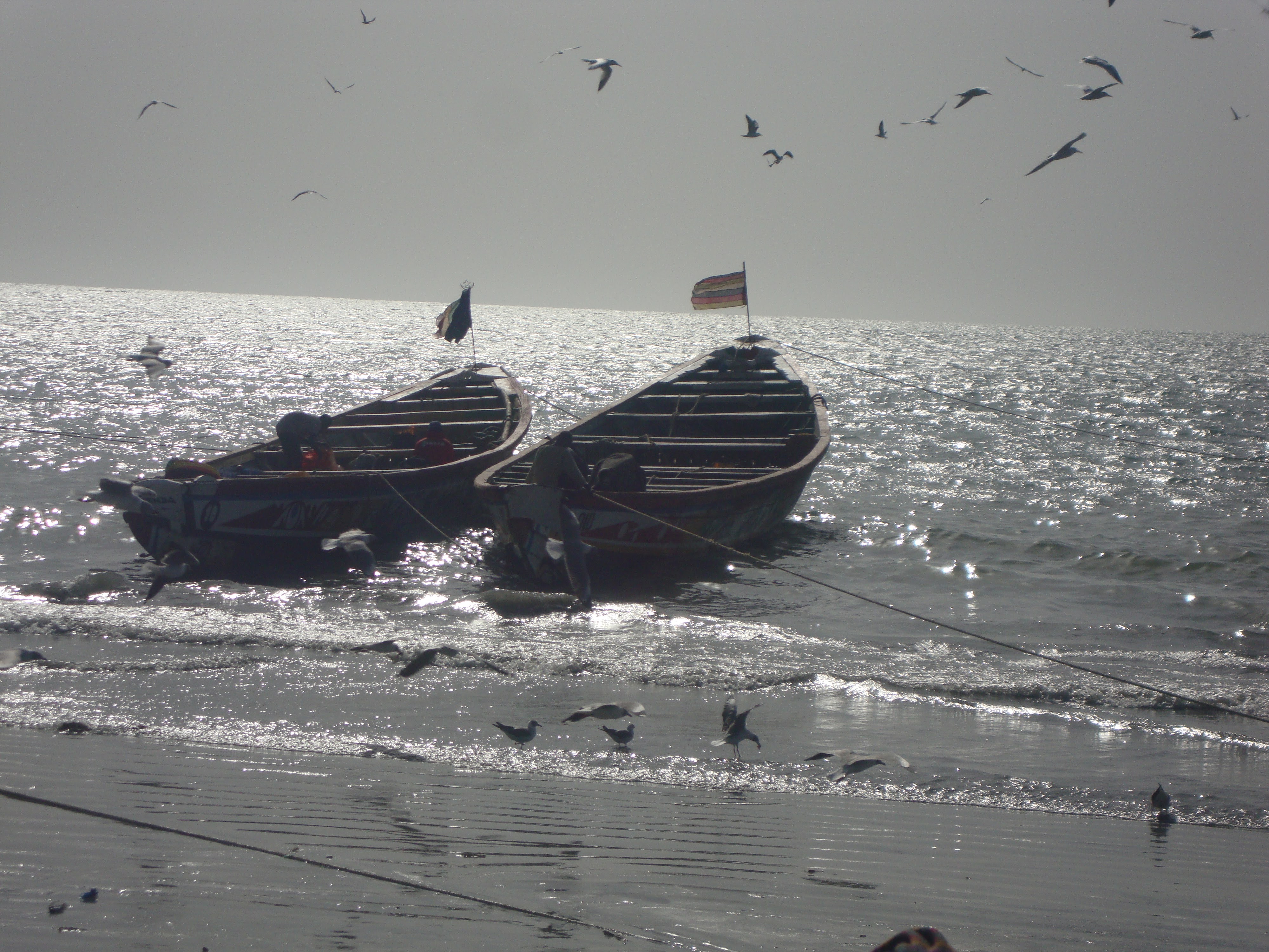 Boats in black and white.