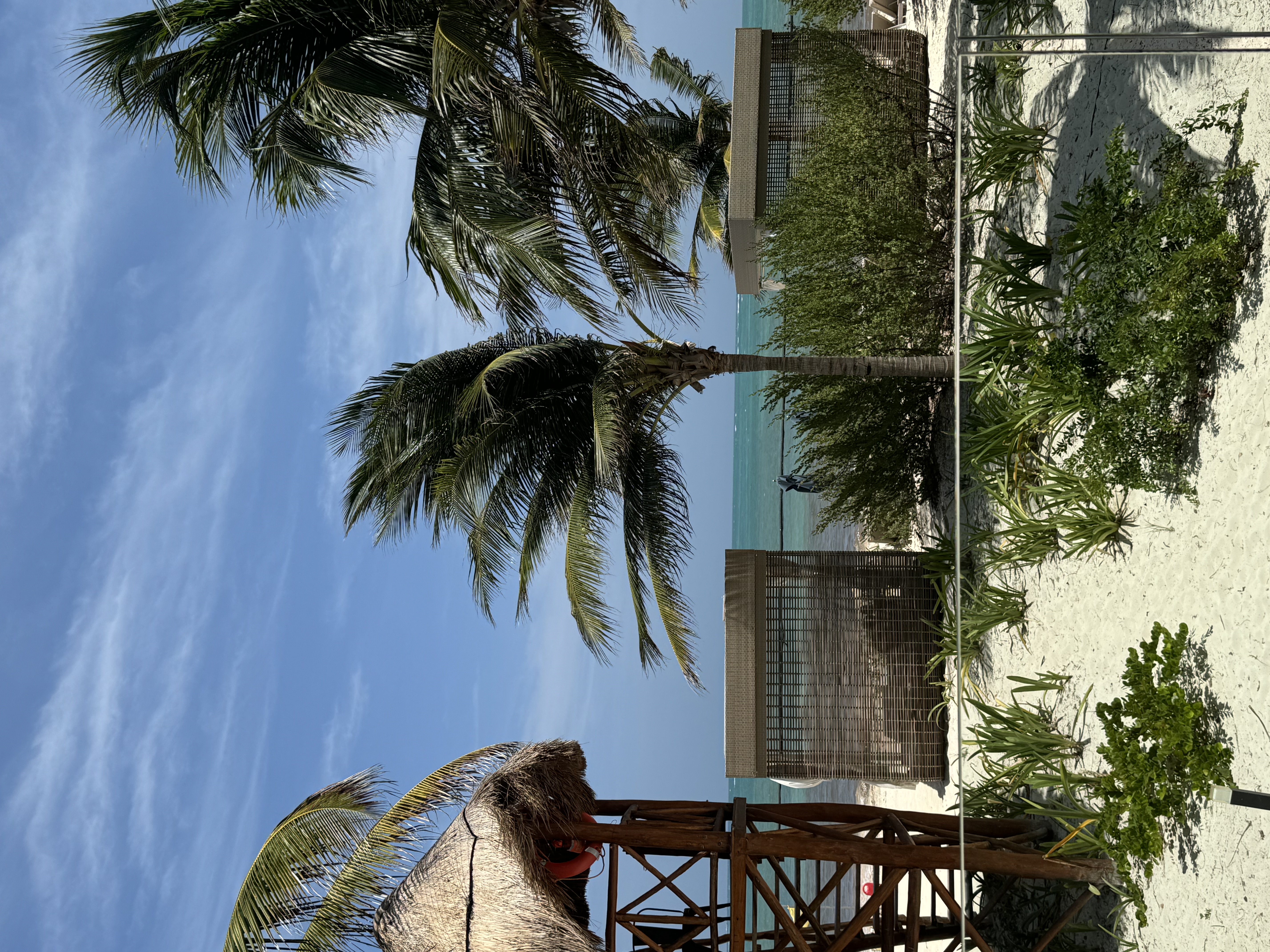 A view of beachside seating with palm trees waving in the wind and a cabana on one side.