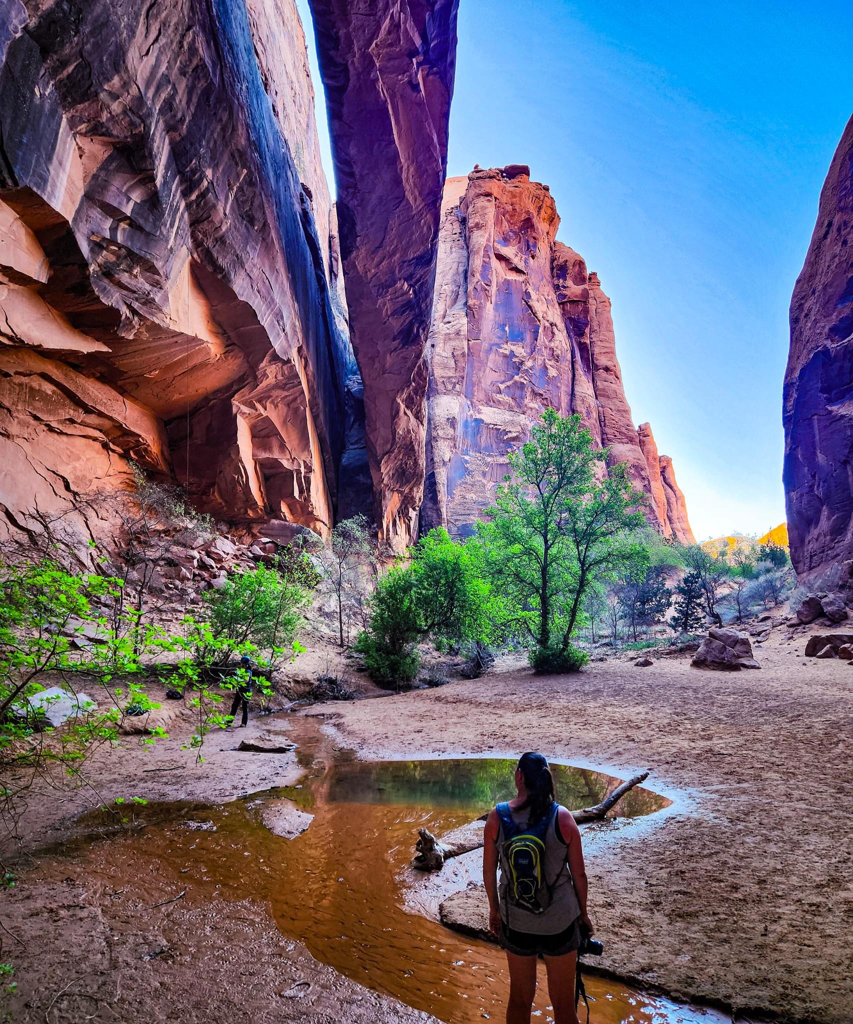 Advisor standing at the bottom of a canyon with a small channel of water, small trees and tall cliffs on either side with a blue sky above.