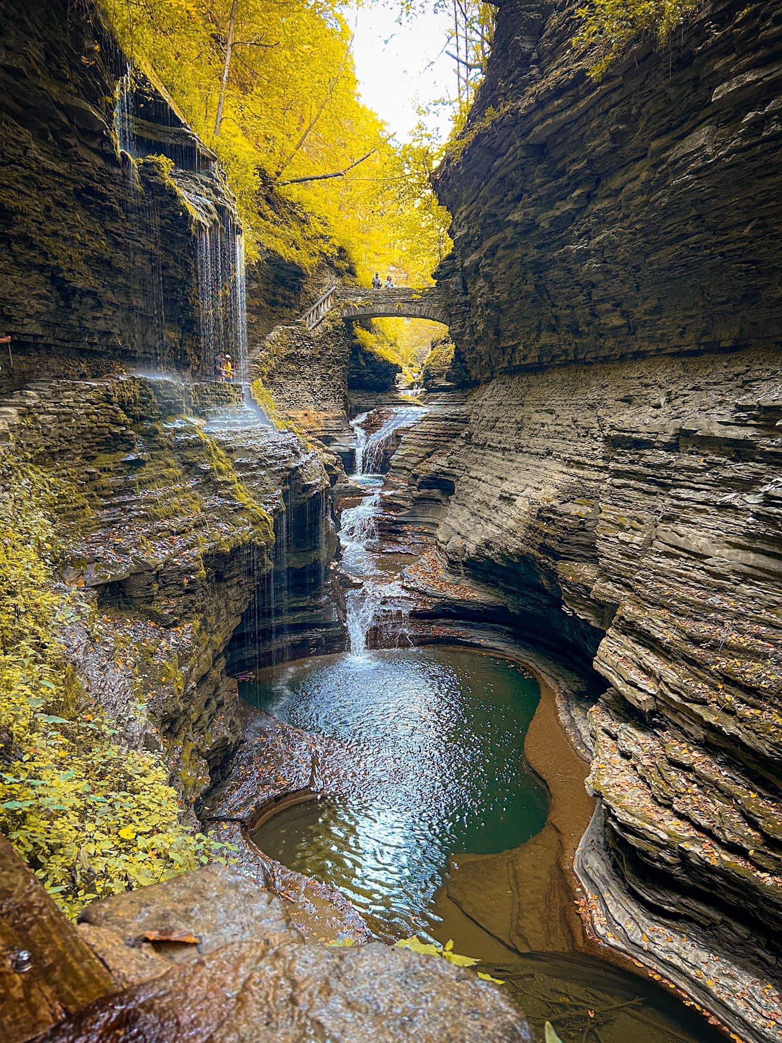 A view into a rock crevice with pools of water at the bottom and trees with yellow leaves above.