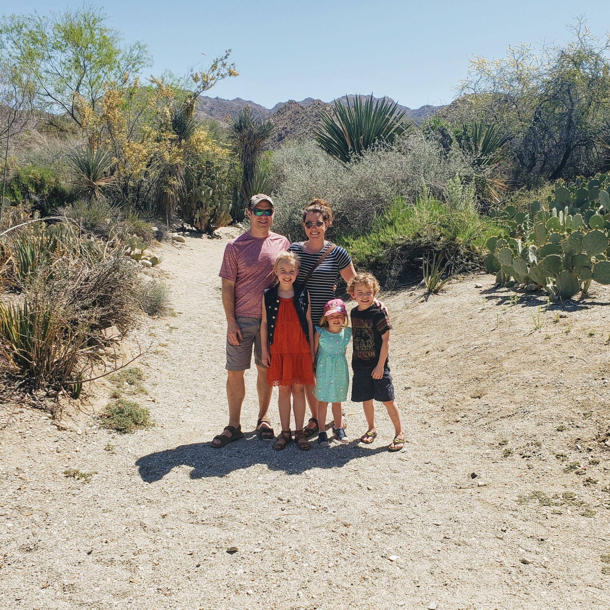Palm Springs: Visiting the Desert with Kids - Fora Travel