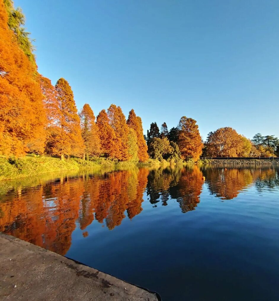 A First-Time Guide: Places To Visit in Johannesburg - Fora Travel