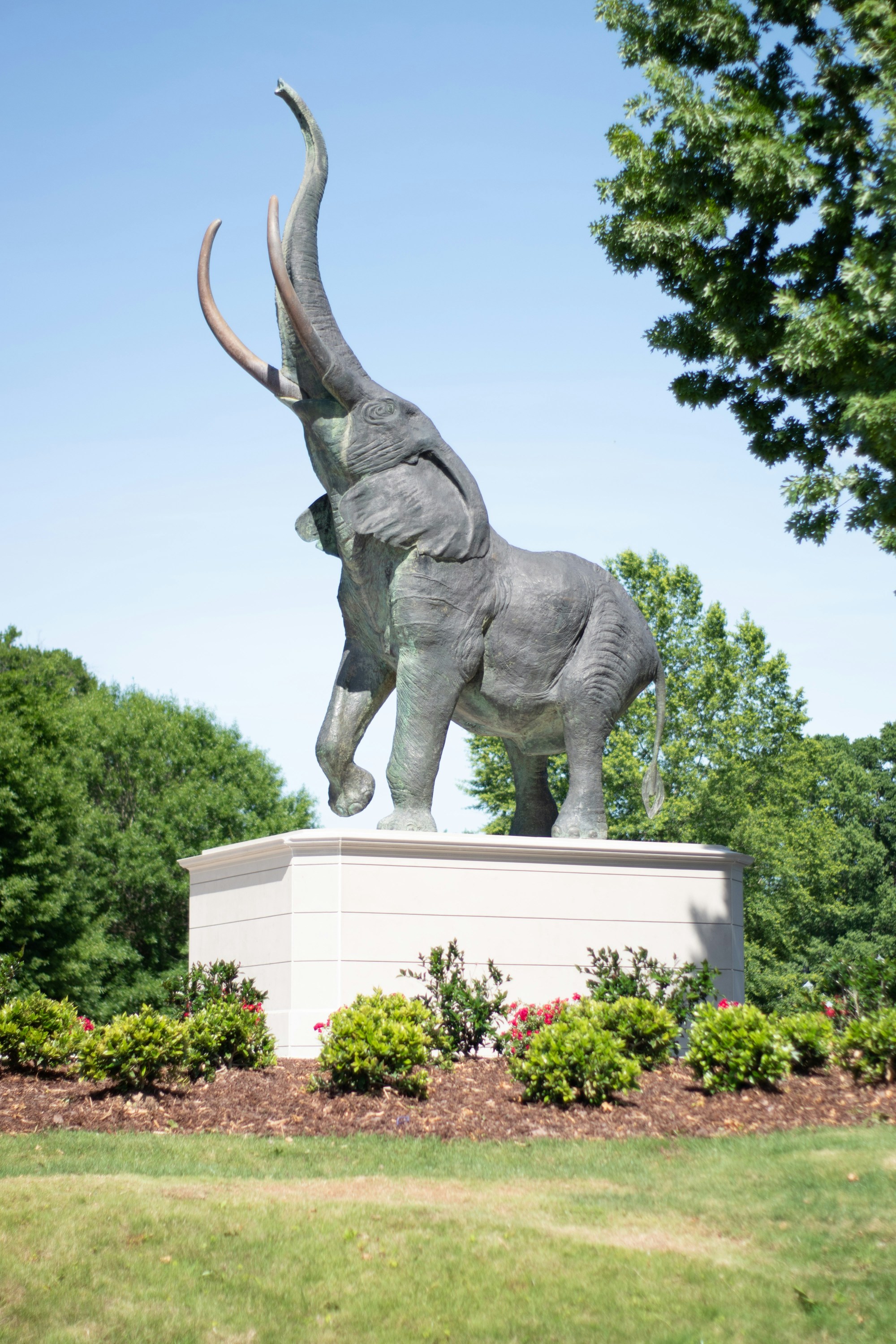 Enjoy the Southern Hospitality of Tuscaloosa, Alabama - Fora Travel