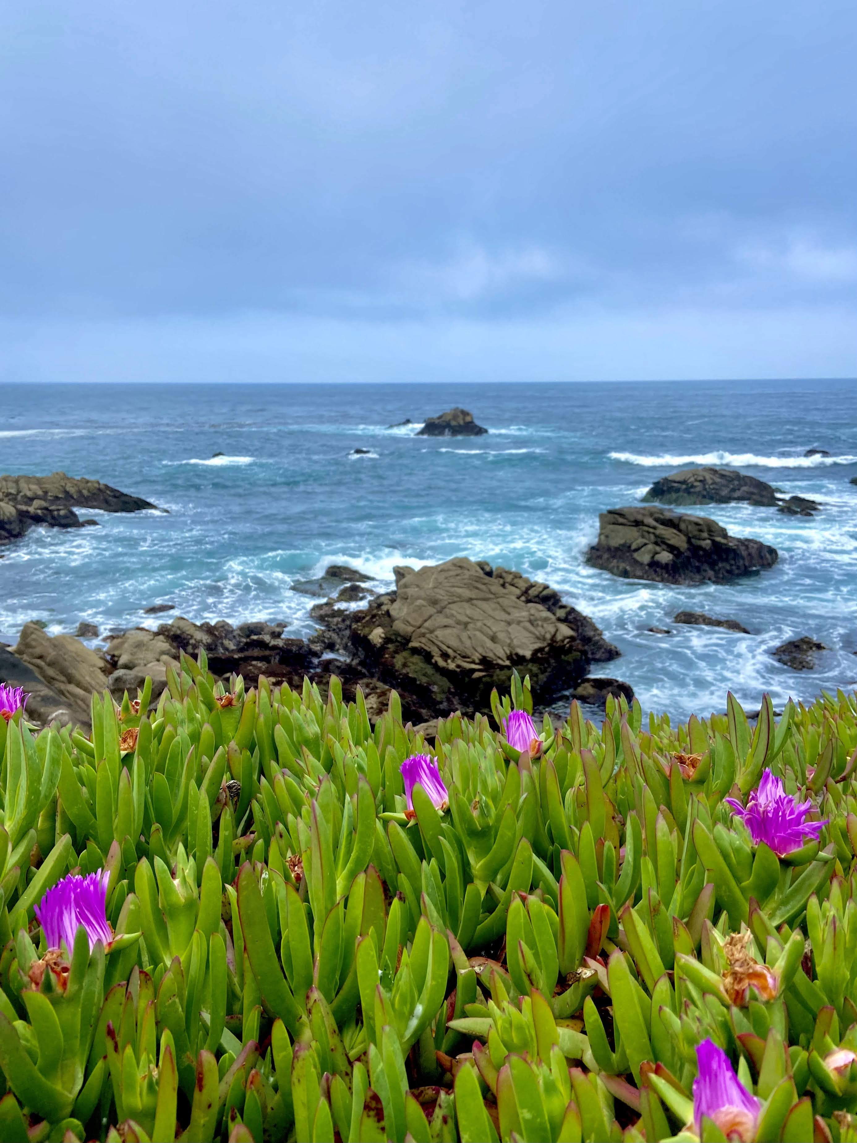 Local's Guide to a Weekend in Carmel-by-the-Sea - Fora Travel