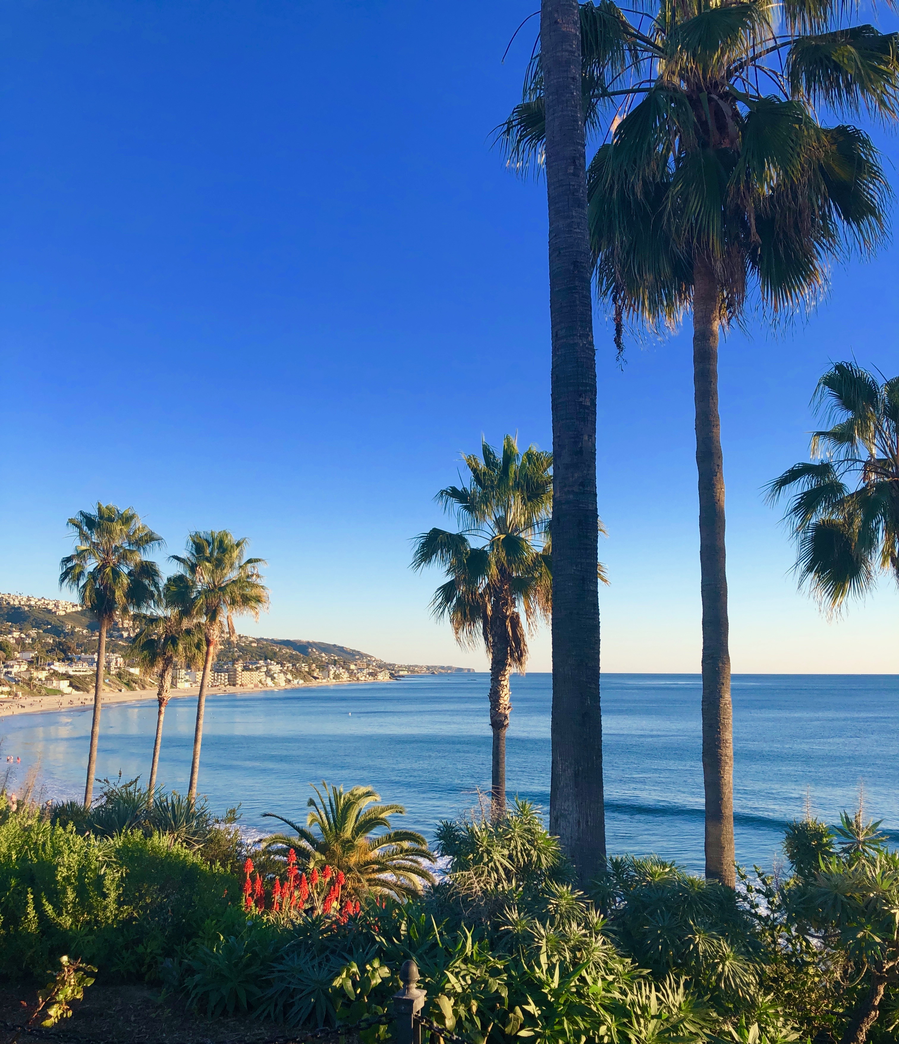 Local's Guide to Picture-Perfect Laguna Beach - Fora Travel