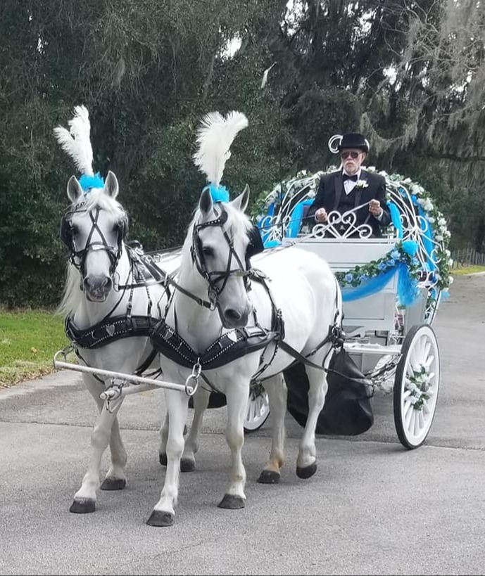 Celebration, FL: Home to Charm and Magic - Fora Travel