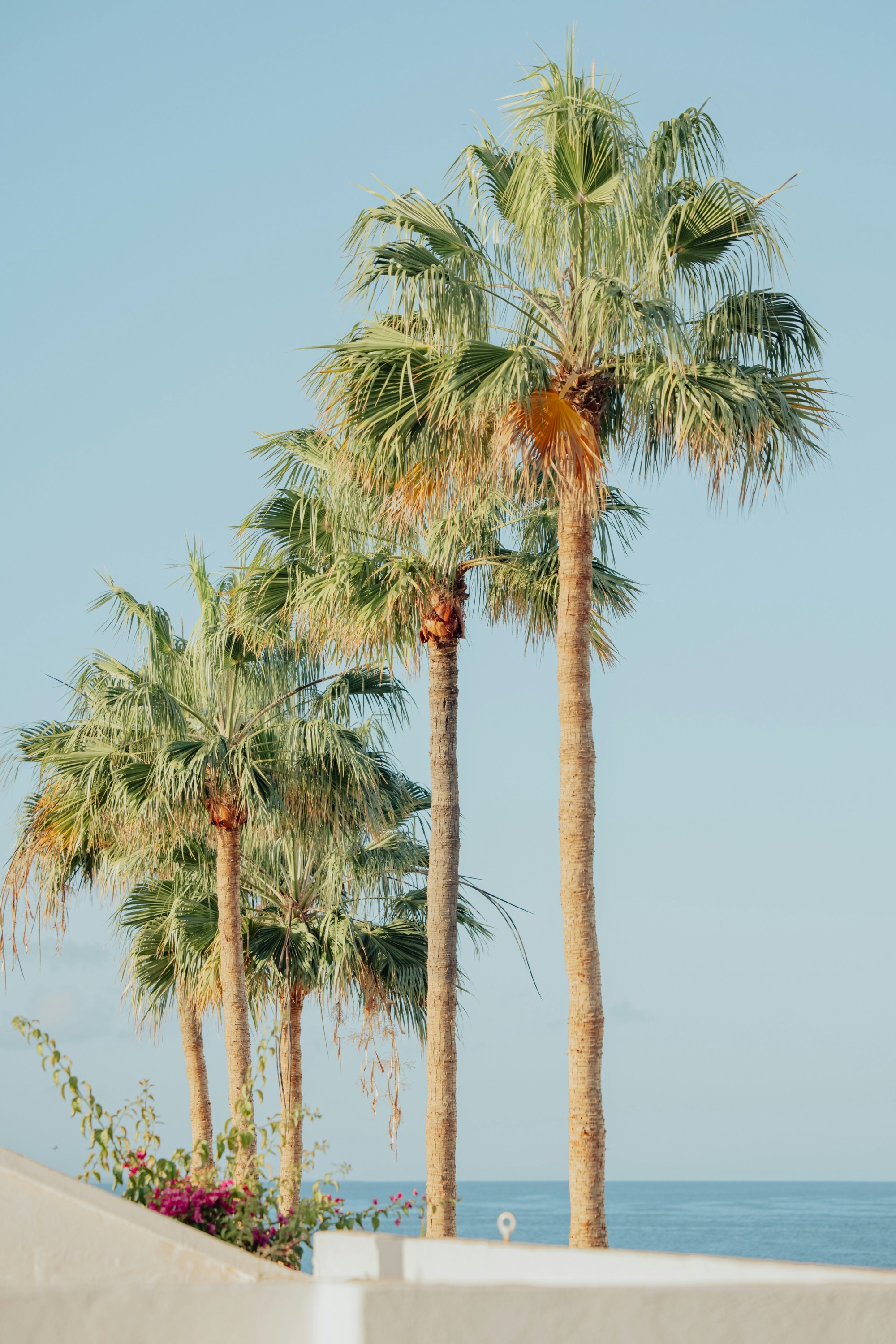 A Local's Guide to Carlsbad, CA: The Beach Town You Didn't Know ...