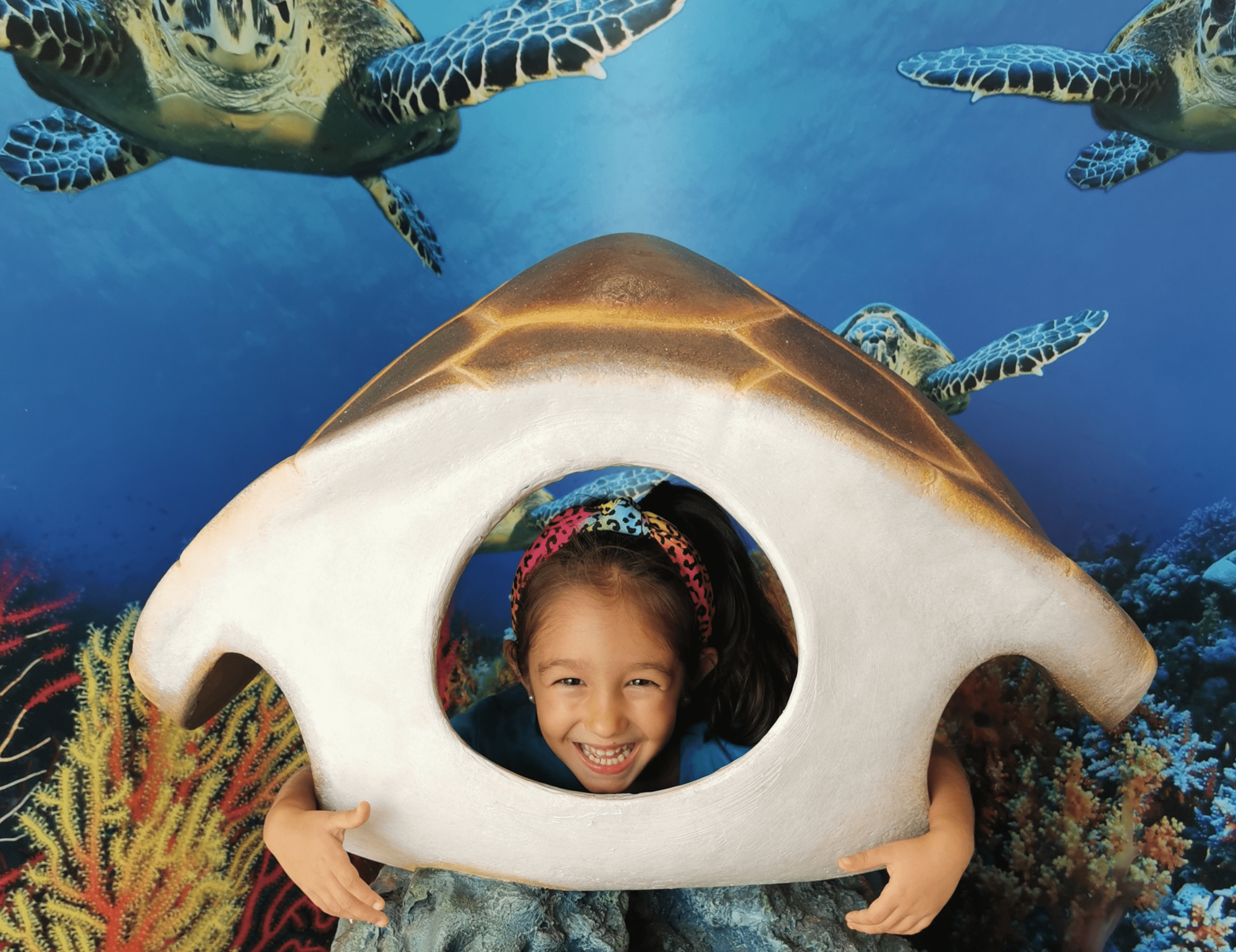 Exploring Sardinia: 10 Must-Do Activities for Families Beyond the ...