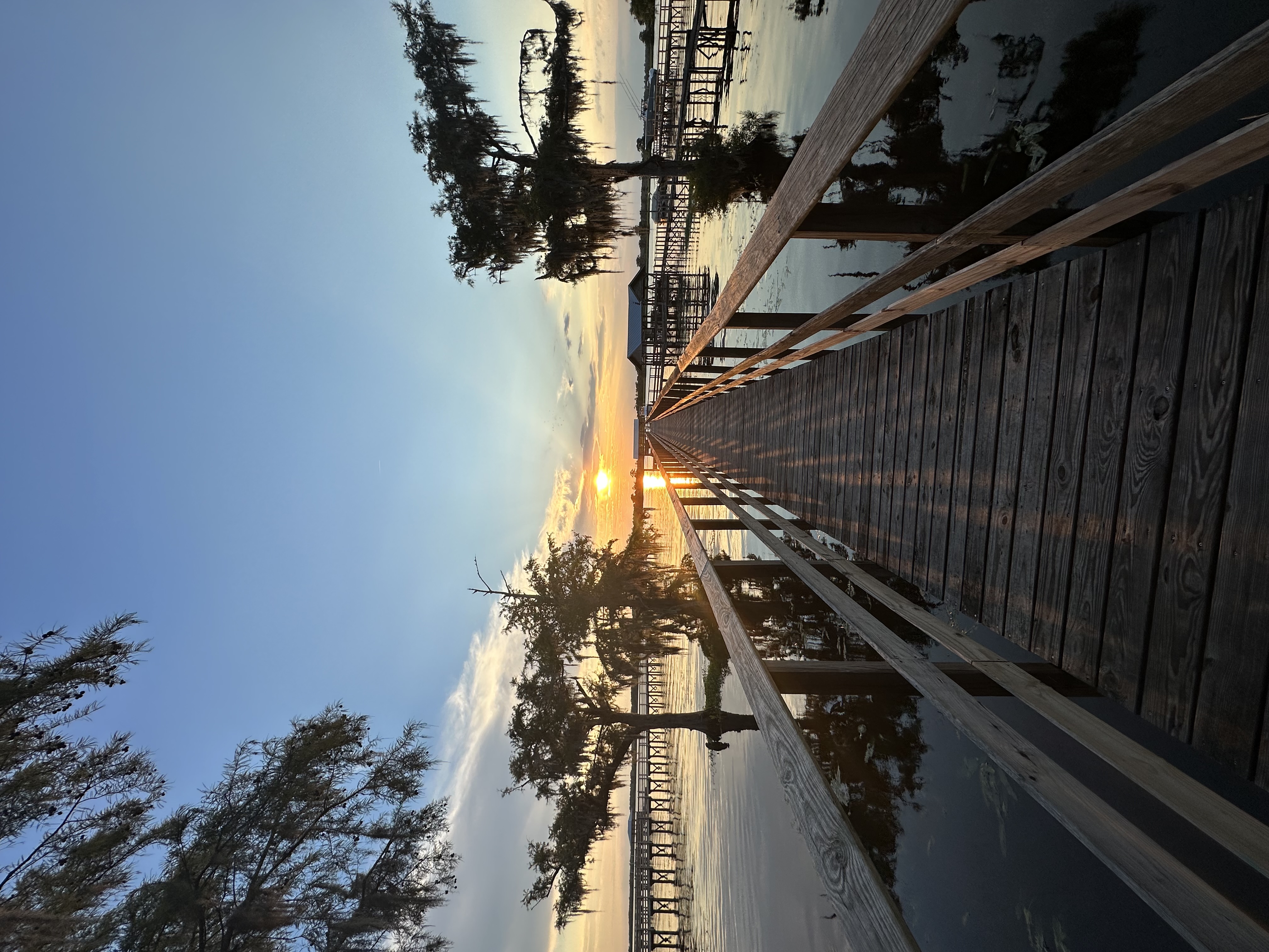 A Guide to Pawleys Island - Fora Travel