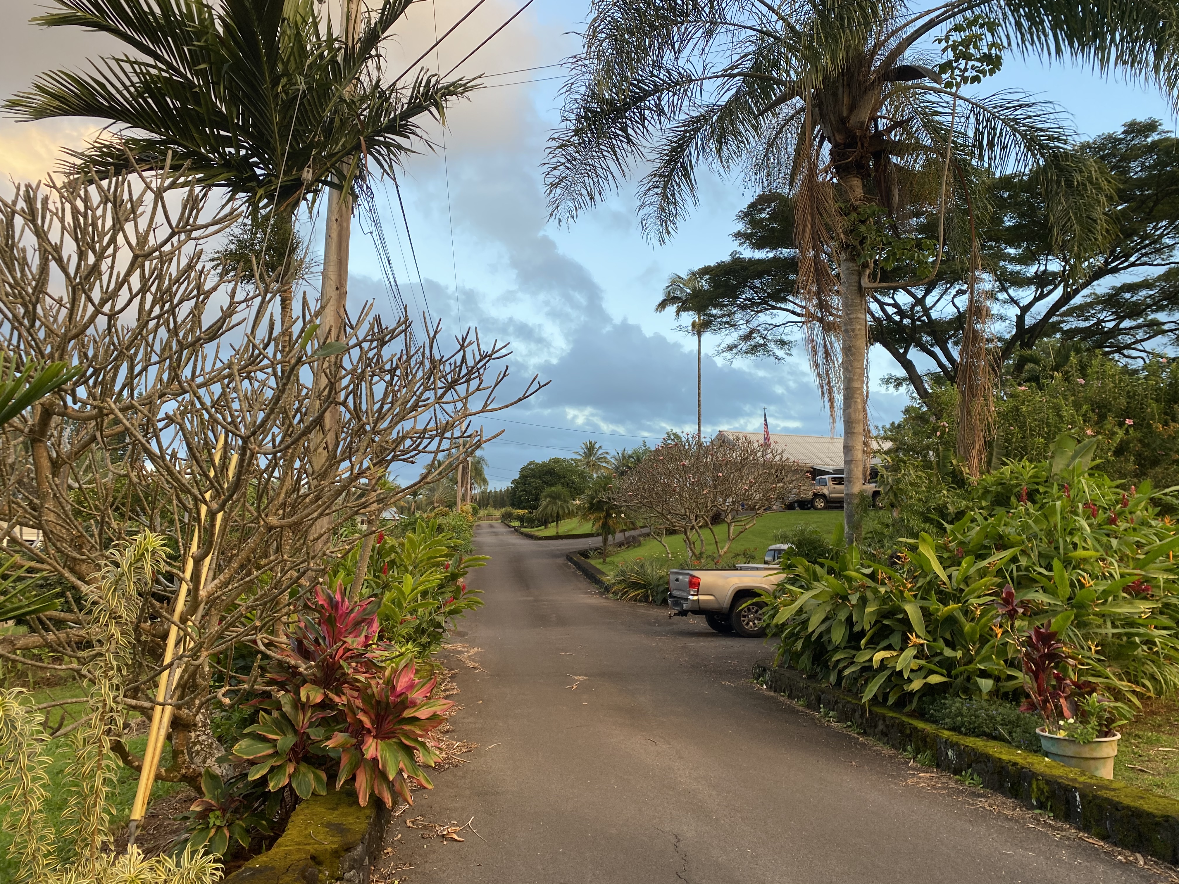 Explore the Big Island From Hilo: A Locals Point of View - Fora Travel