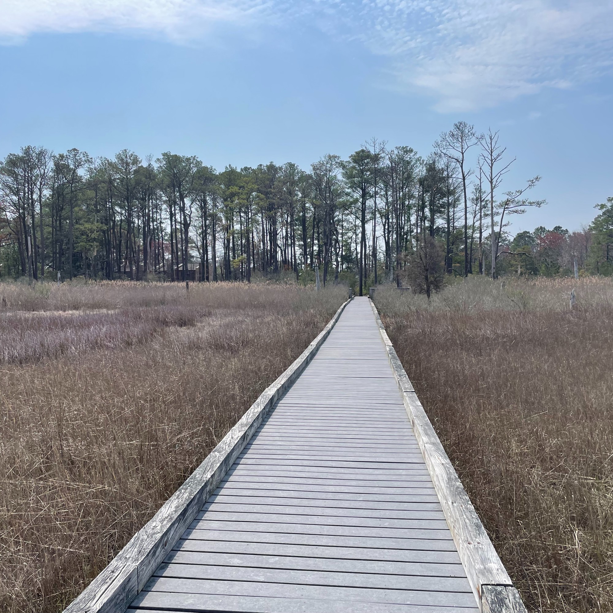 Bethany Beach: Your Guide to a Relaxing Escape in Coastal ...