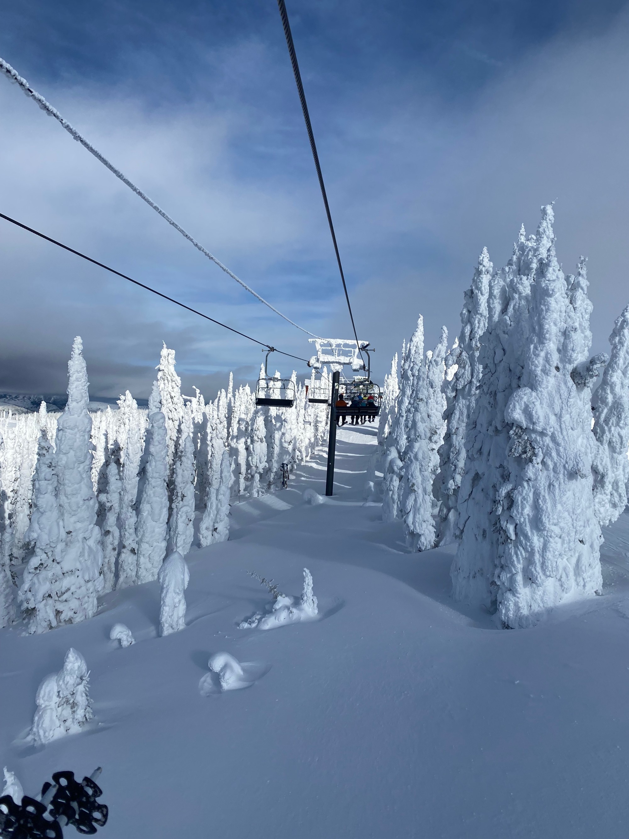 A Local's Guide to Whitefish, Montana - Fora Travel
