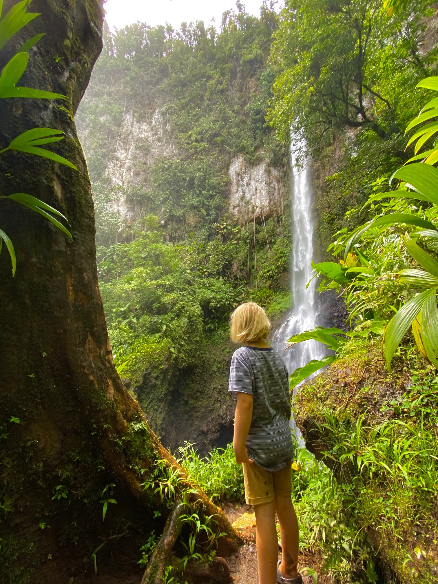 The Ultimate Travel Guide to Dominica