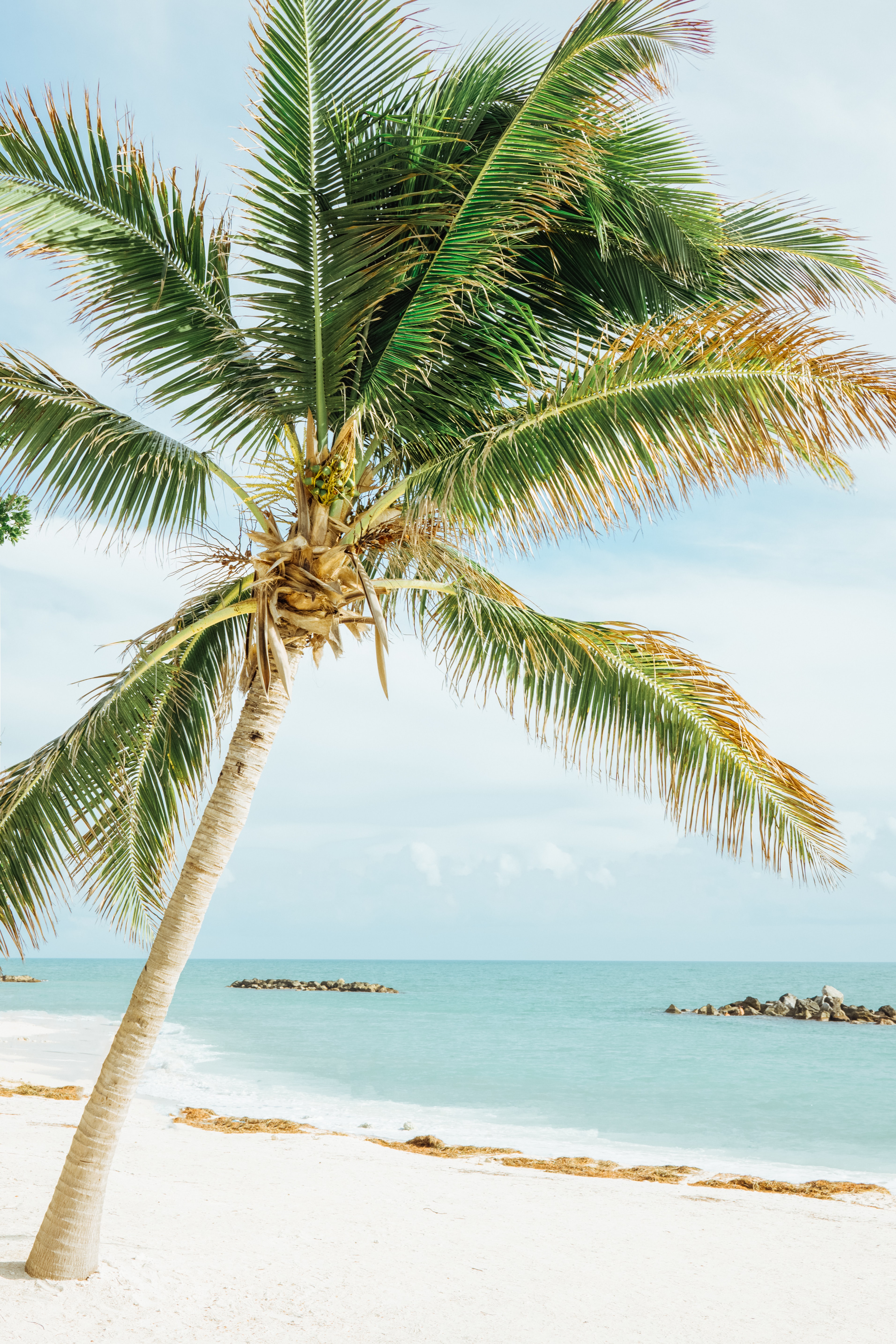 Adventurous Things to Do on a Vacation in Islamorada - Fora Travel