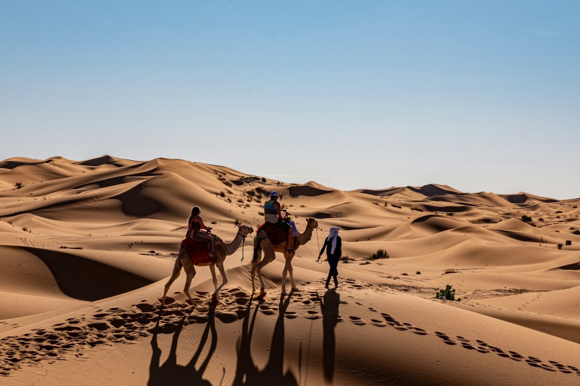 The Best Time to Visit Morocco: An Expert Guide - Fora Travel