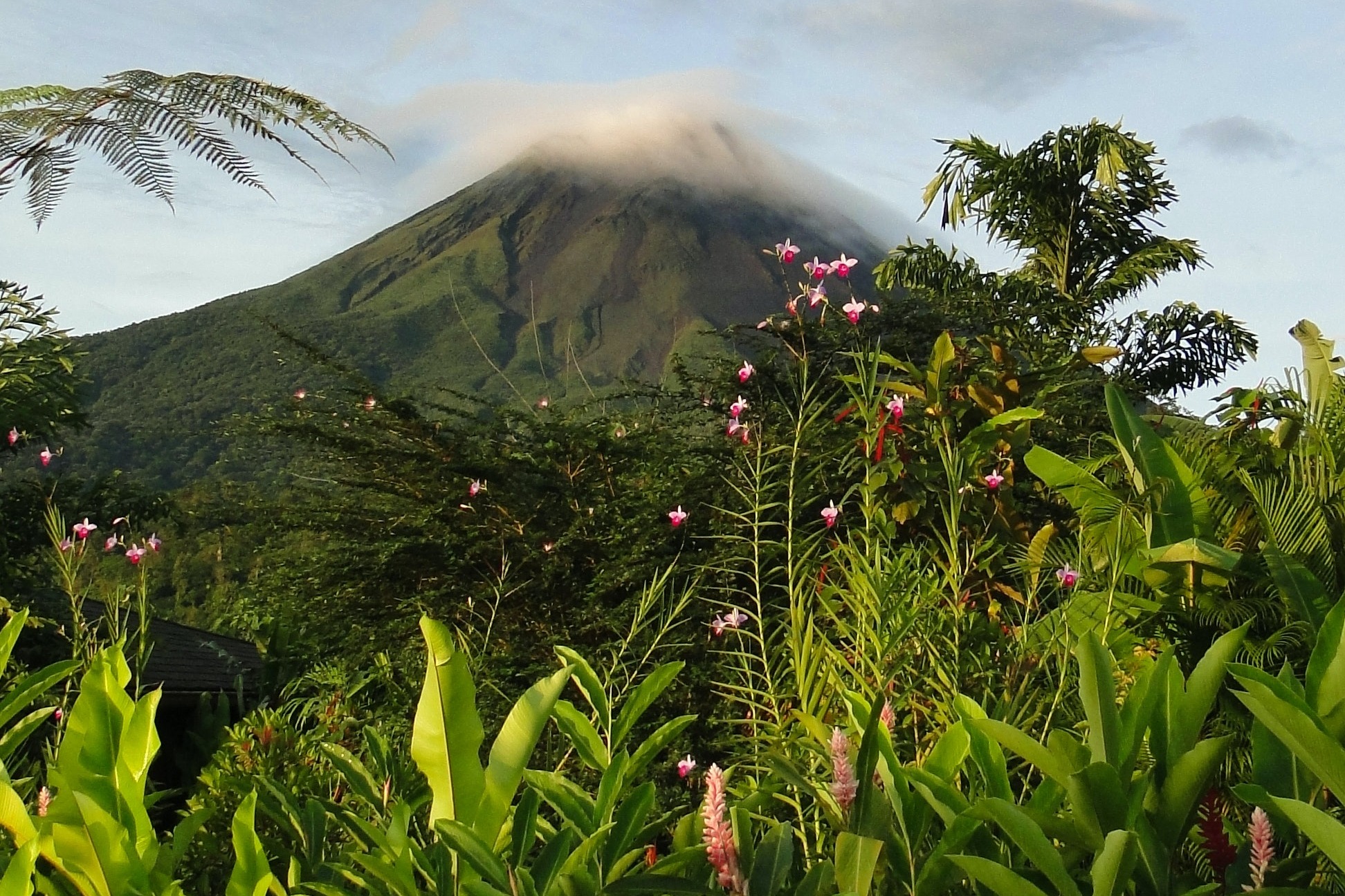 The Best Time to Go to Costa Rica: A Month-by-Month Guide