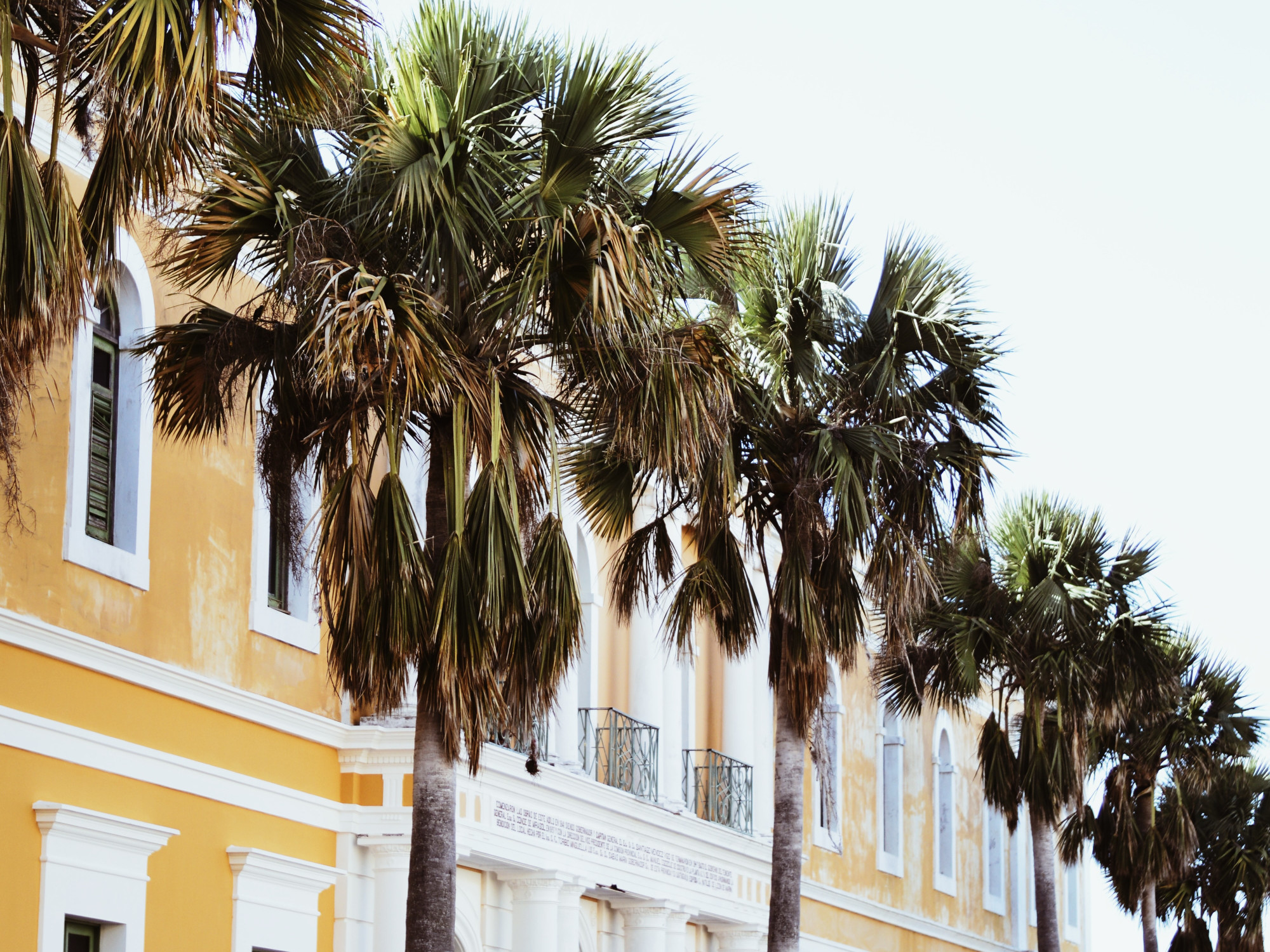 When's the Best Time to Visit Puerto Rico? - Fora Travel