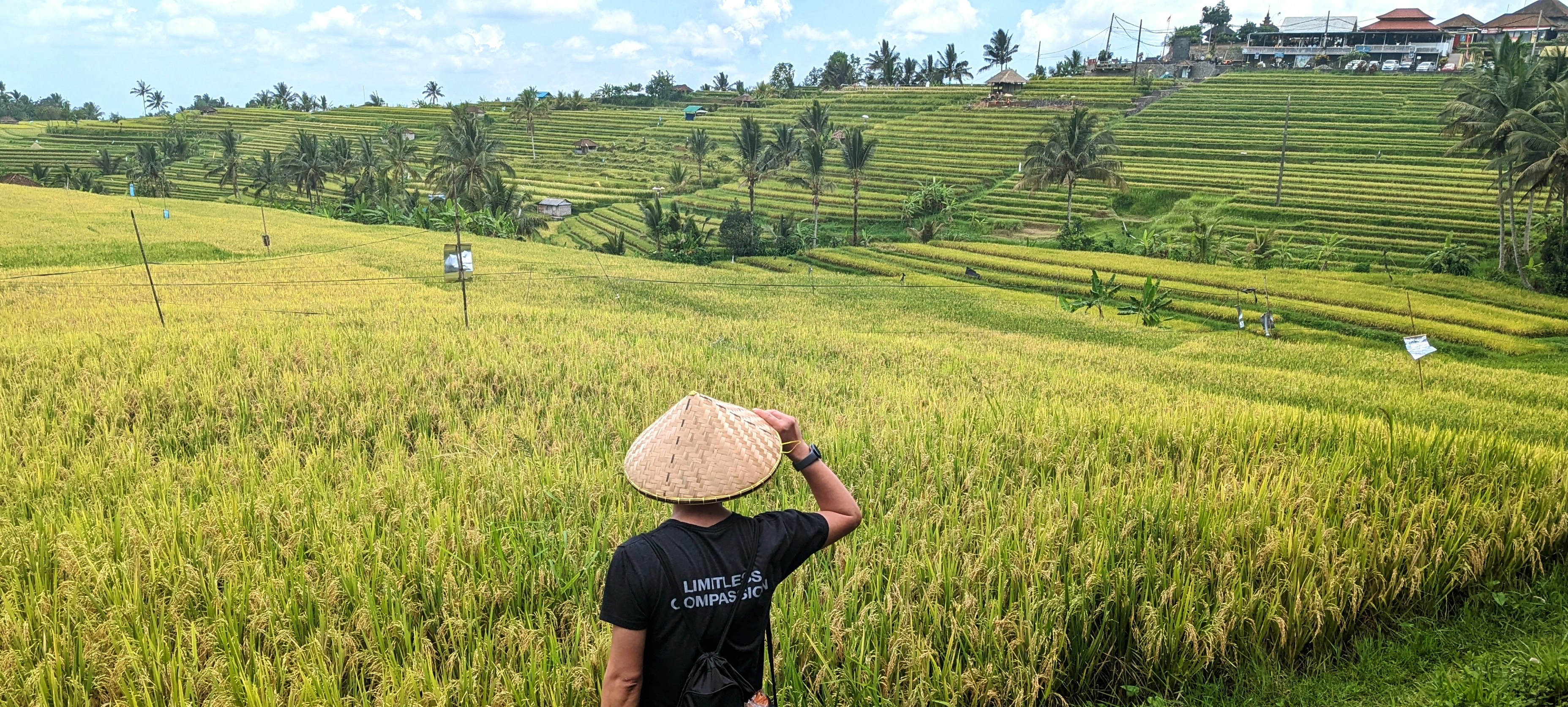 Travel Advisor - Hoang Nguyen