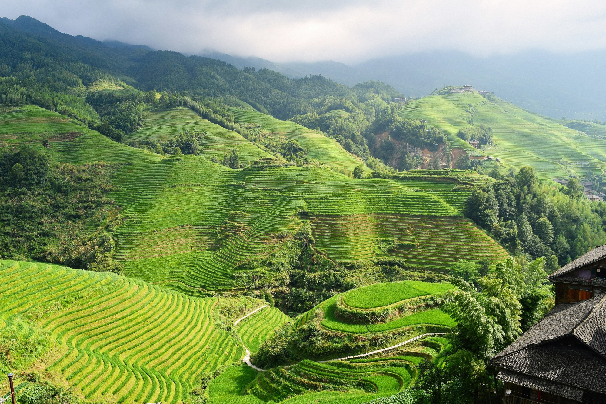 A view looking across a lush green valley with misty clouds overhead during the day.