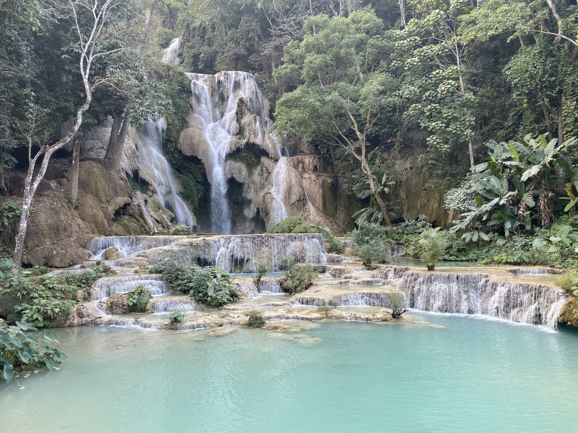 A waterfall in a forest during the daytime
