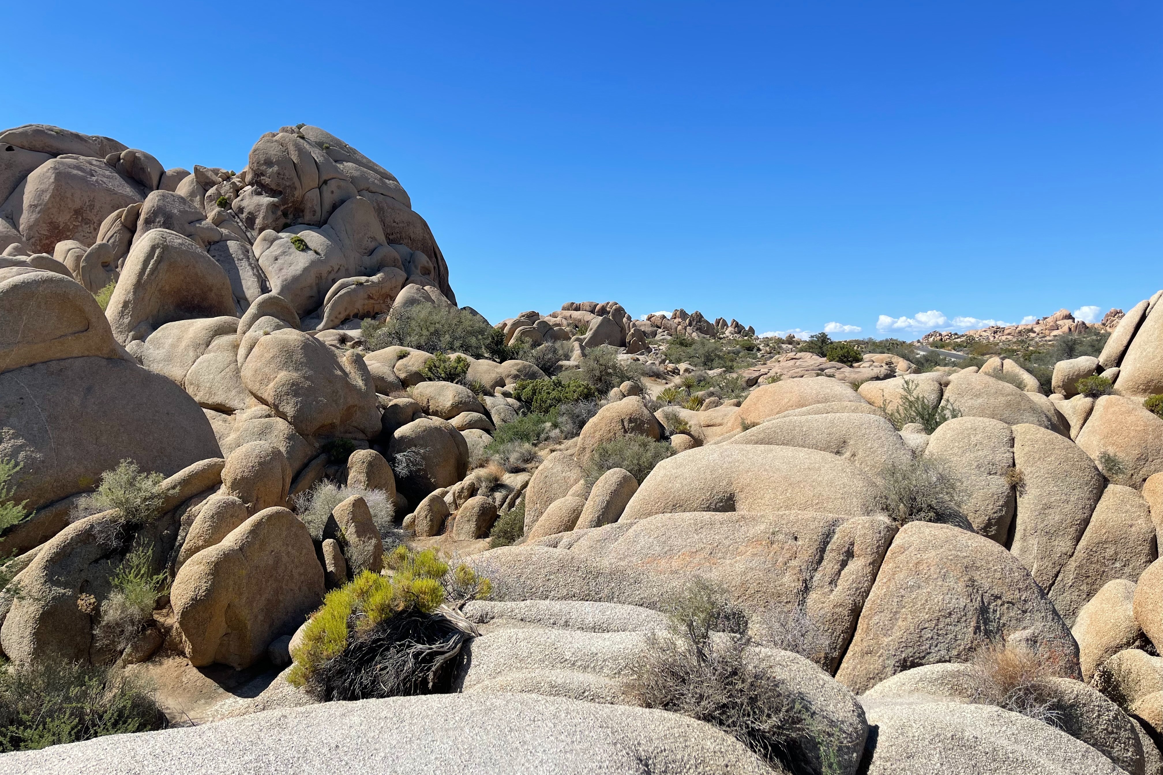 The dramatic rock formation of Joshua Tree National Park on a sunny day.