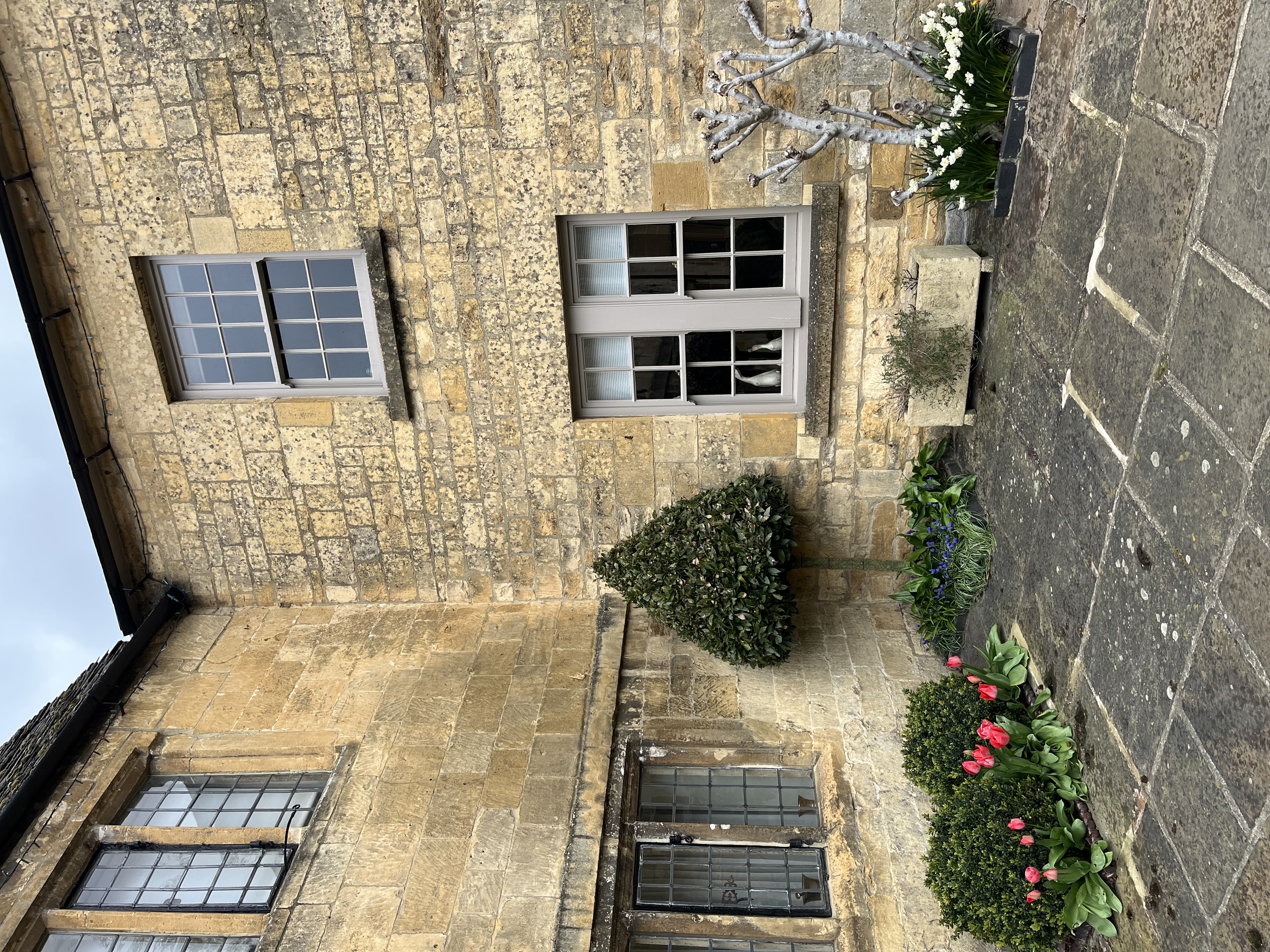The corner of a courtyard along a brick building with shrubs and flower buds growing on a sunny day misted with clouds.