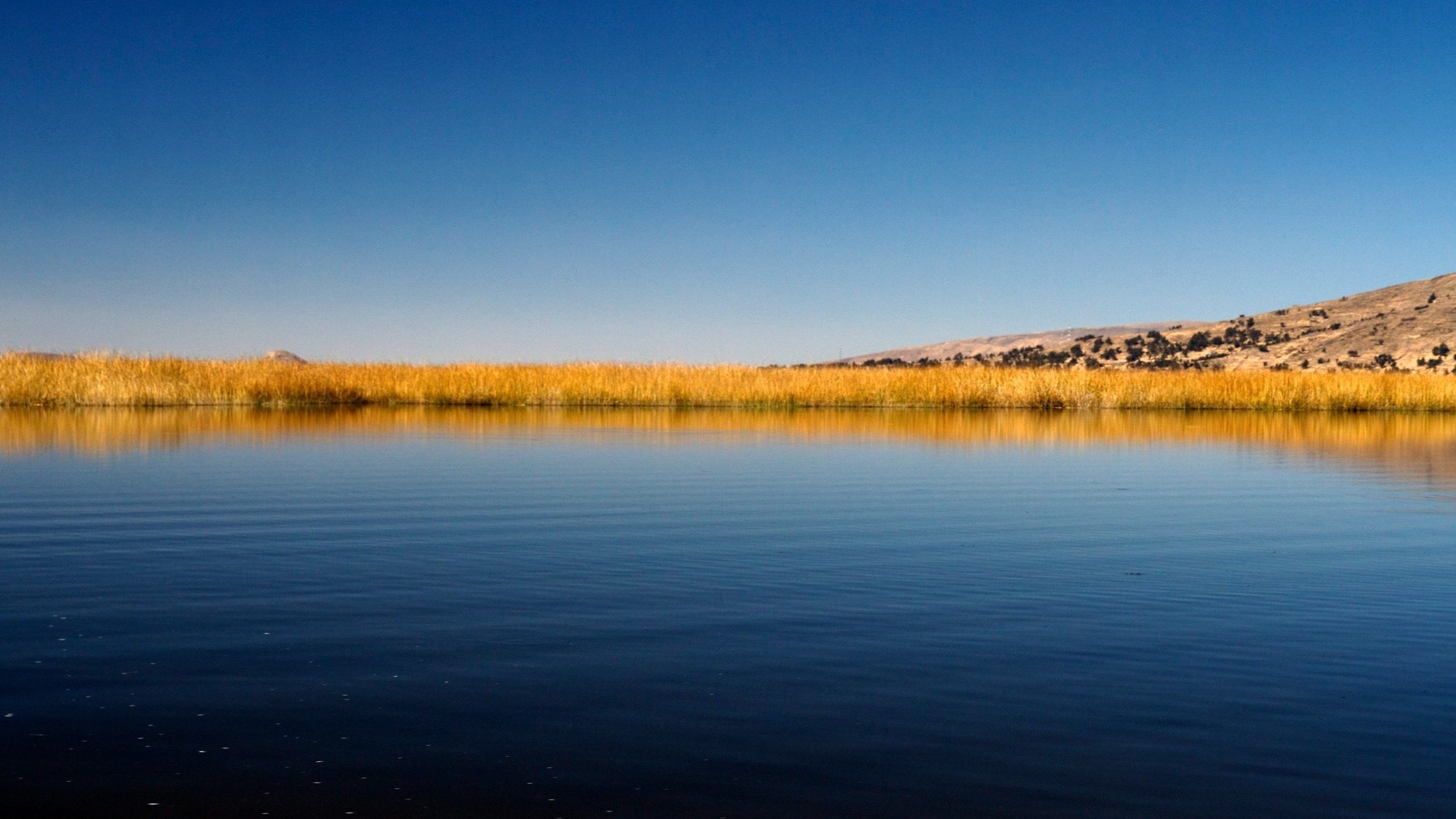 A tranquil body of water with a clear blue sky, tall grasses and a hill in the background.