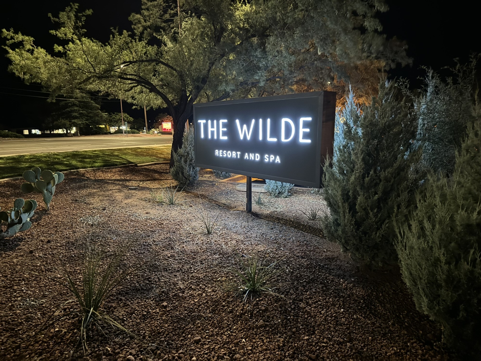 "The Wilde Resort and Spa" neon sign lit up in the foliage.