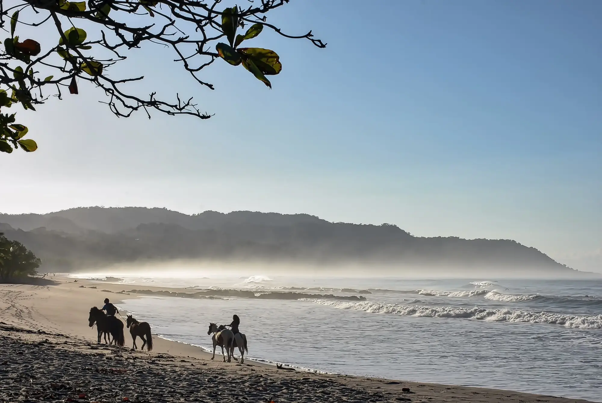 Two horseback riders guide two more horses along a sandy beach