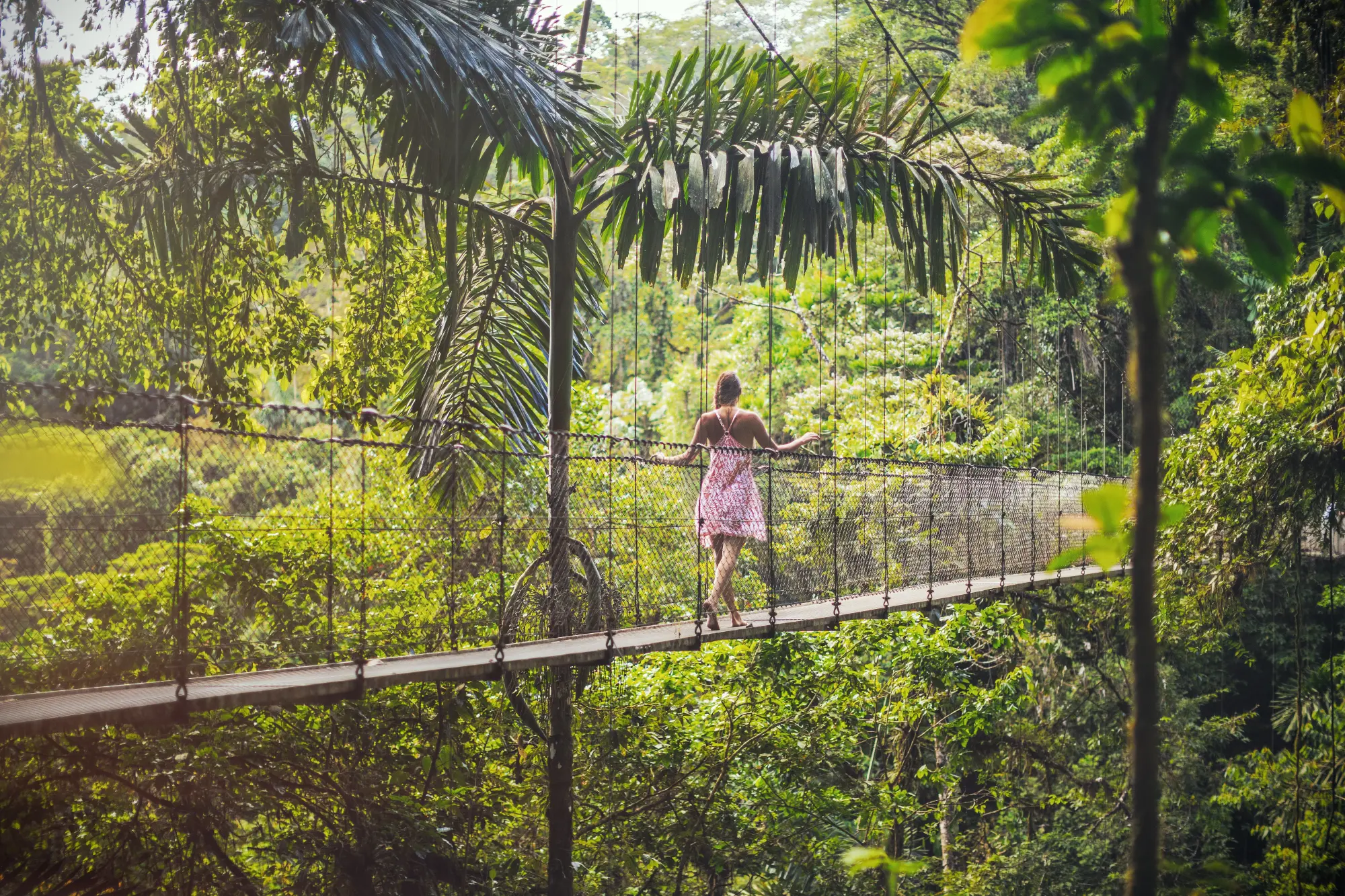 A young woman in a pink dress walks across a suspended bridge through the rainforest