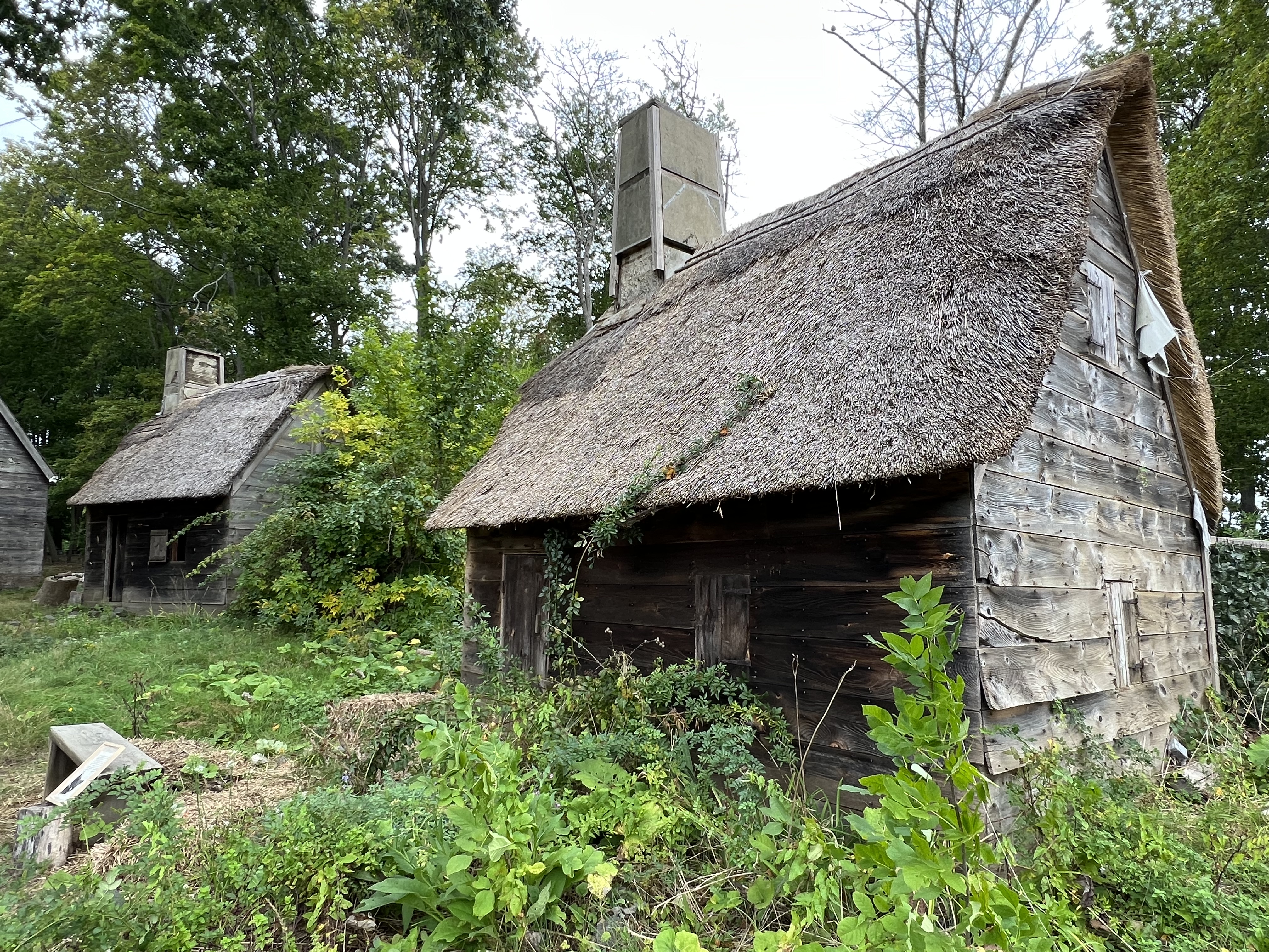 Two rustic thatched-roof cottages are surrounded by lush greenery, creating a quaint and pastoral scene.