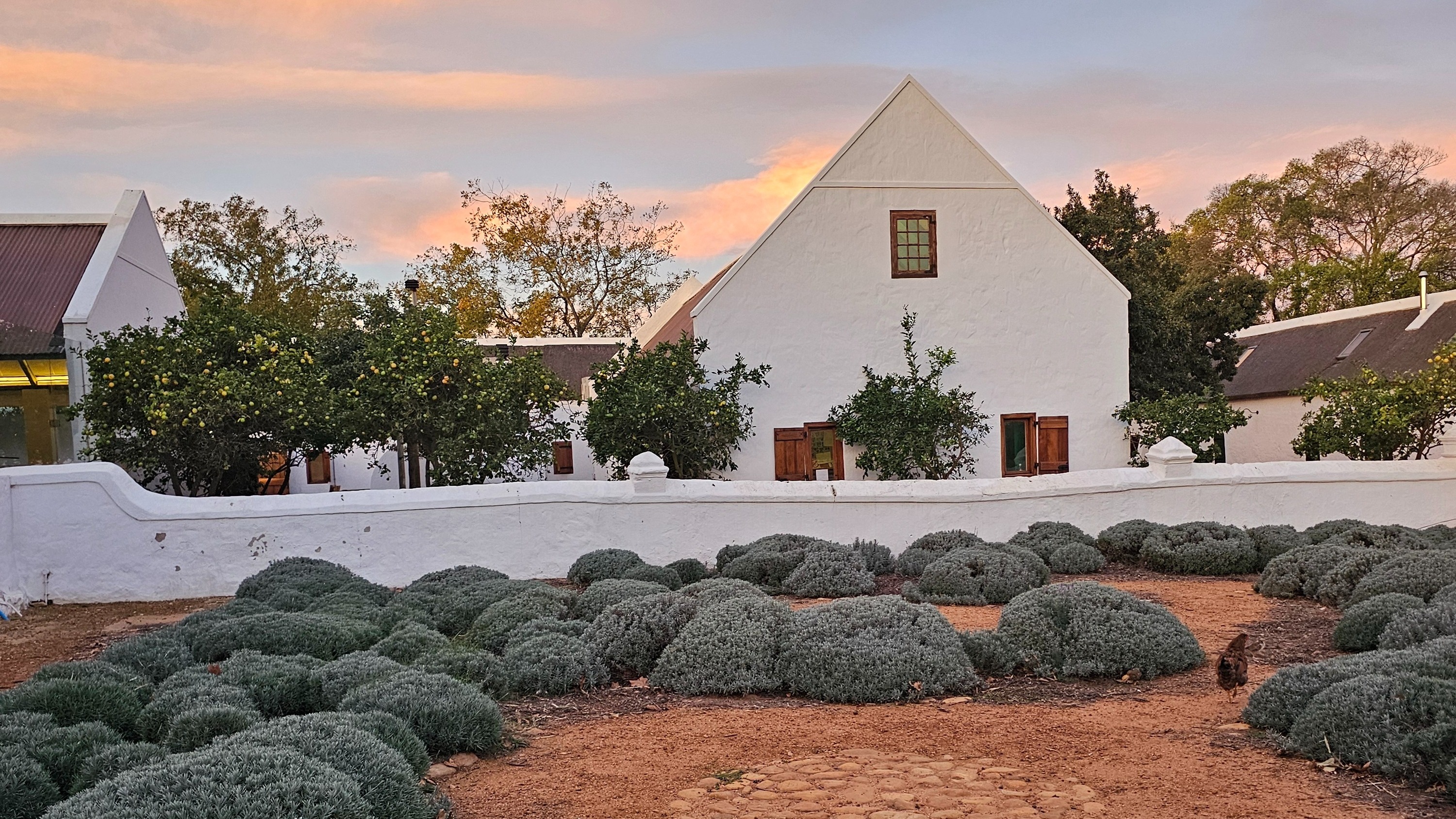 A white building with a walled garden under a sky of pink clouds.